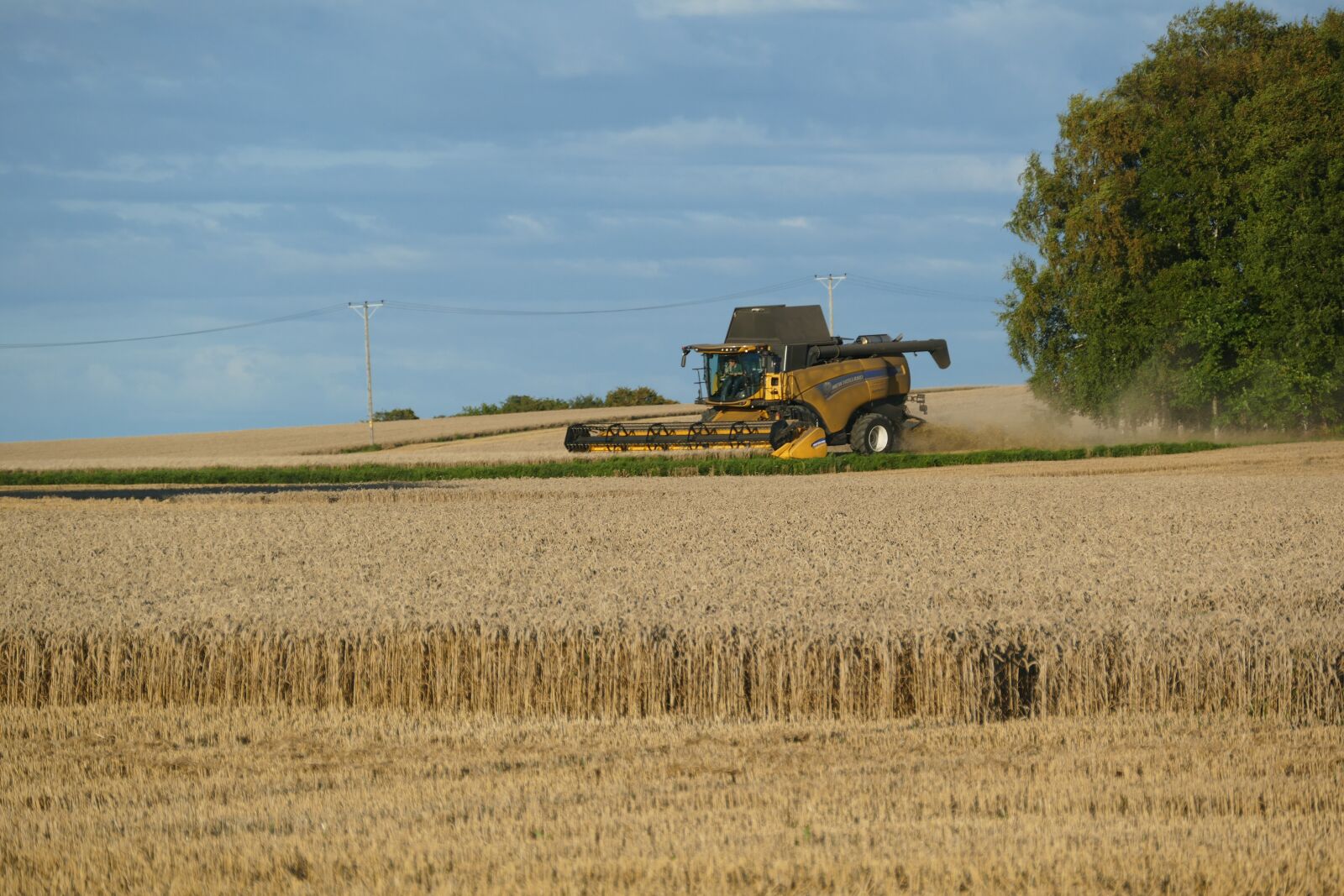 Panasonic Lumix DMC-FZ1000 sample photo. Thresh, agriculture, cereals photography