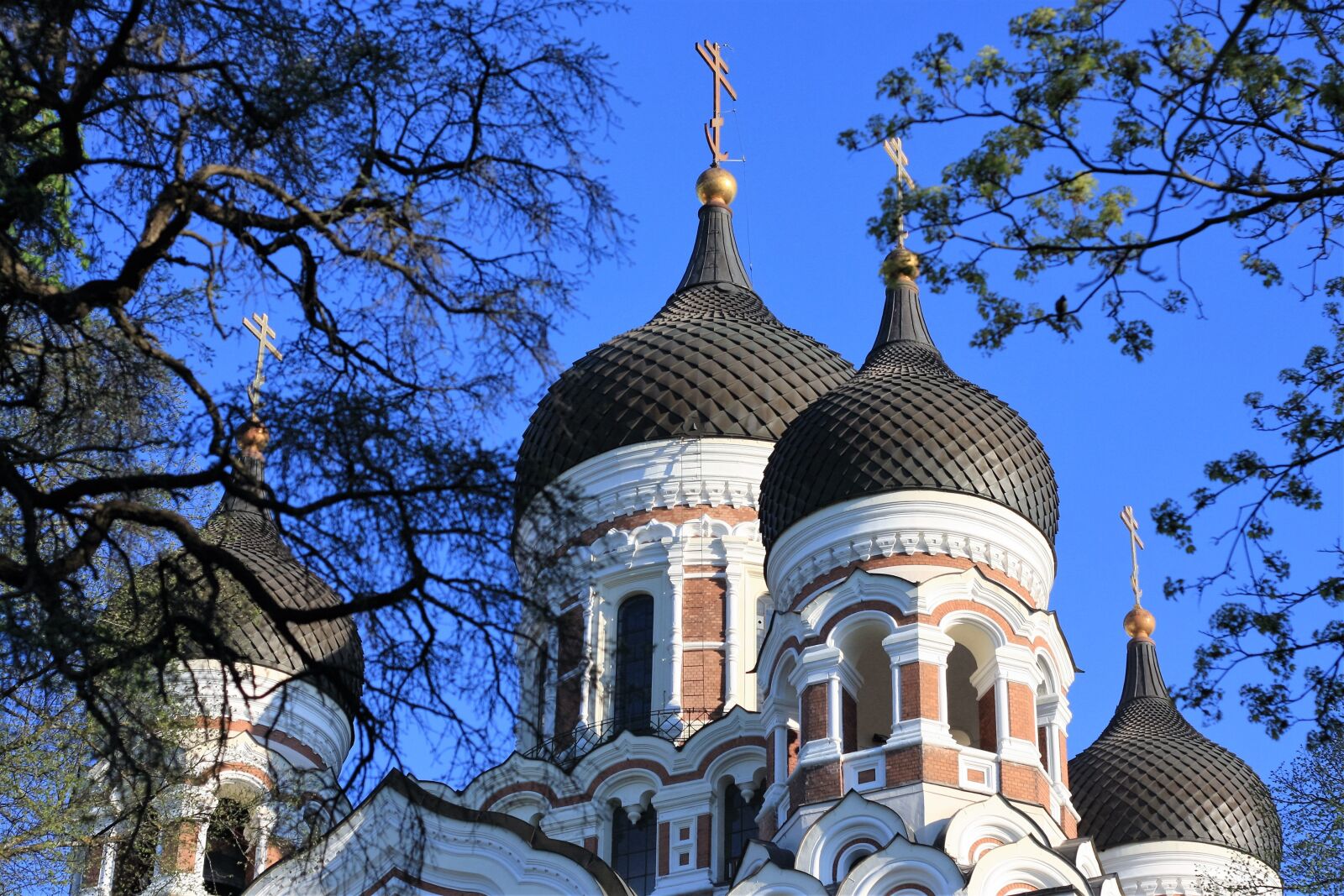 Canon EOS 40D sample photo. Building, architecture, landmark photography