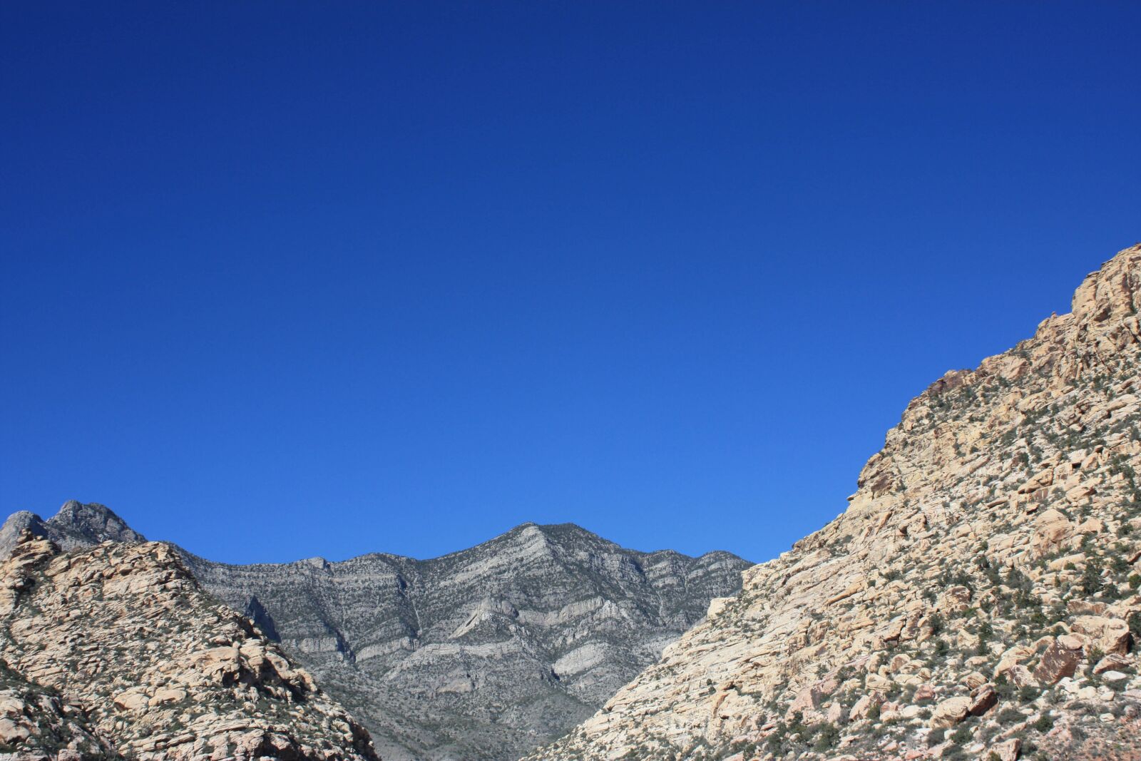 Canon EOS 450D (EOS Rebel XSi / EOS Kiss X2) sample photo. Red rock canyon, red photography