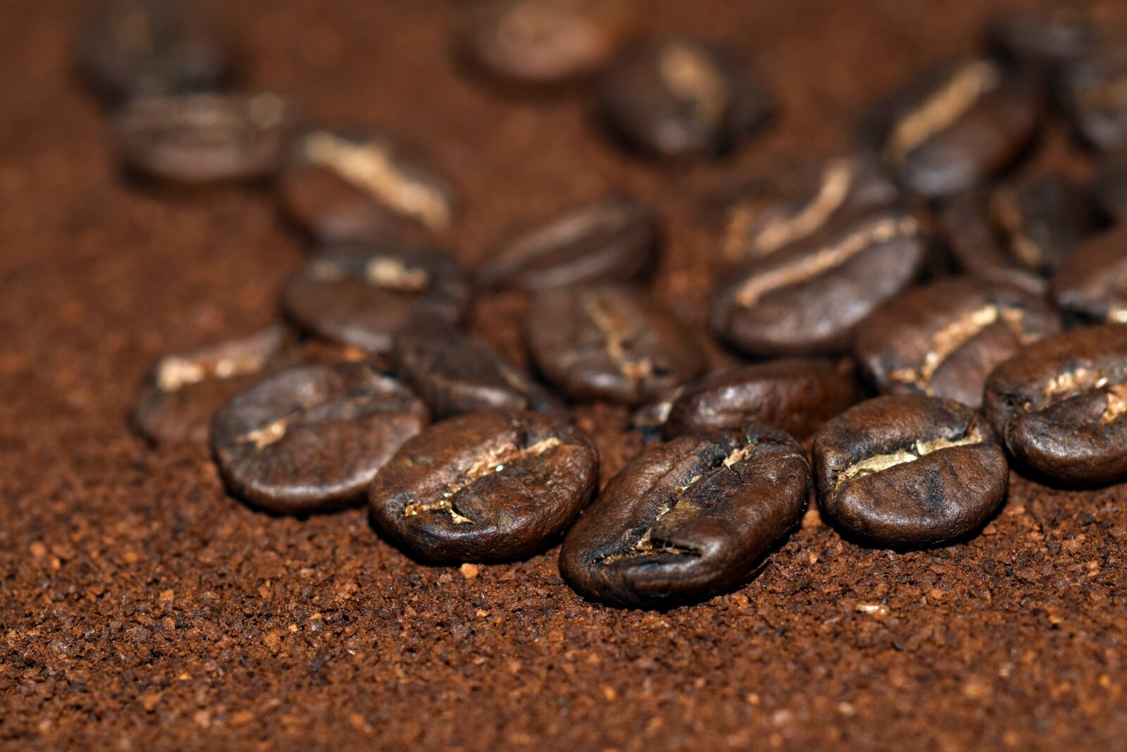 Nikon D3300 sample photo. Coffee, cafe, beans photography