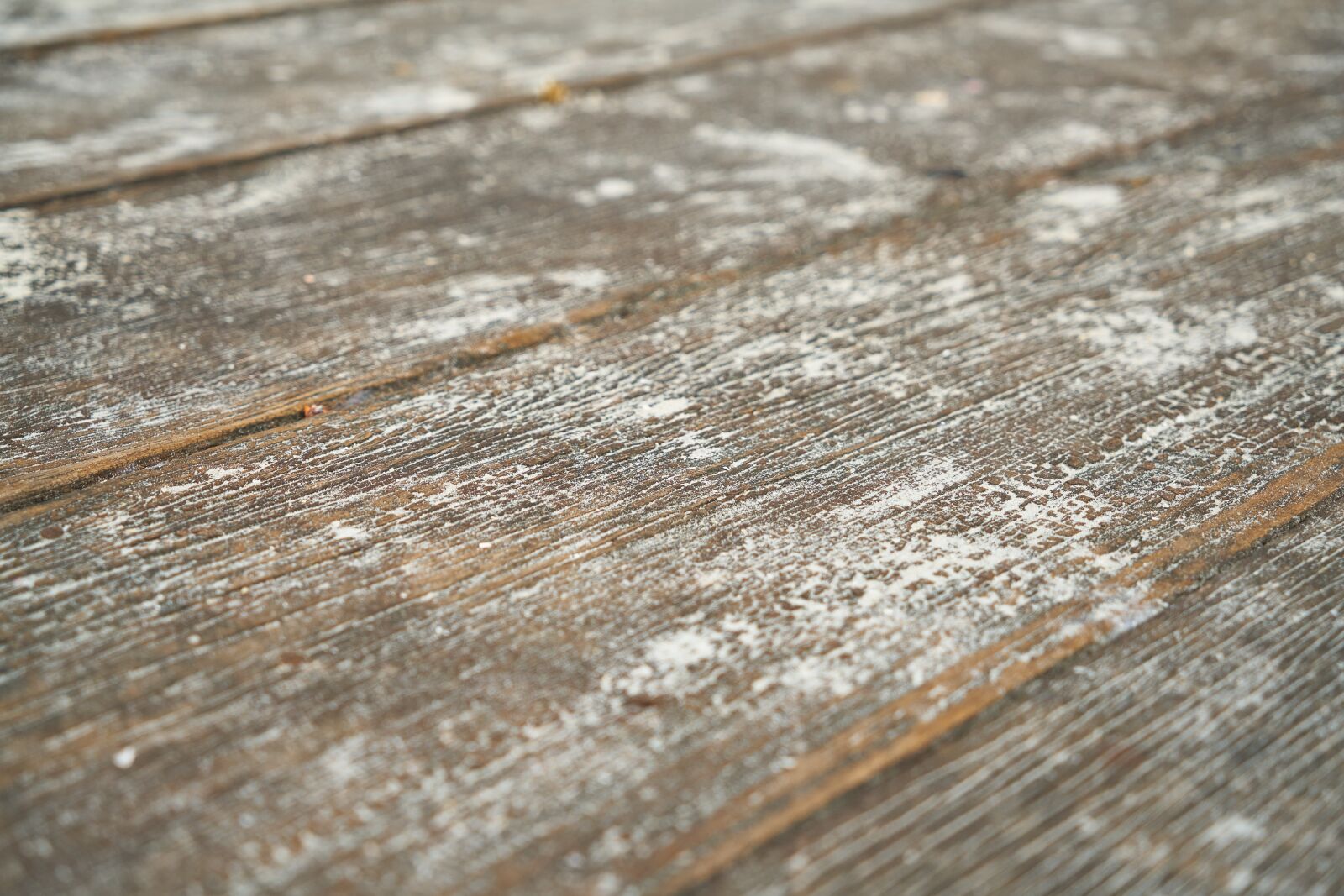 Sony a7R II sample photo. Wood-fibre boards, wood, macro photography