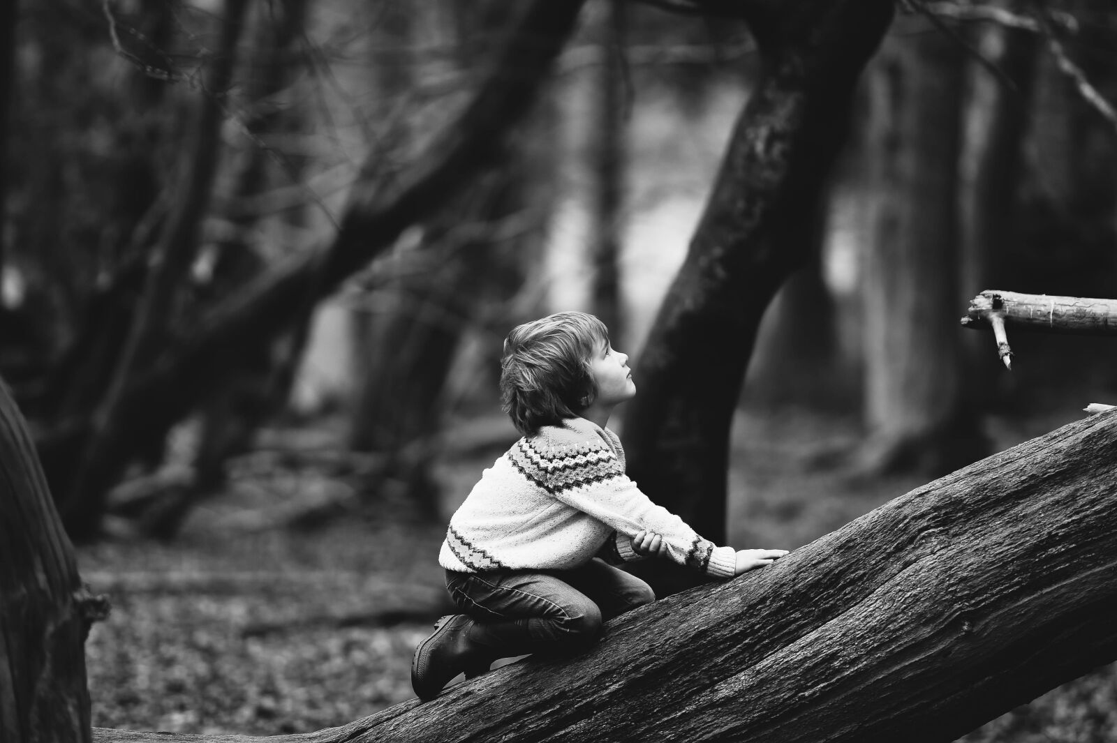 Nikon D4S sample photo. Boy, child, kid photography