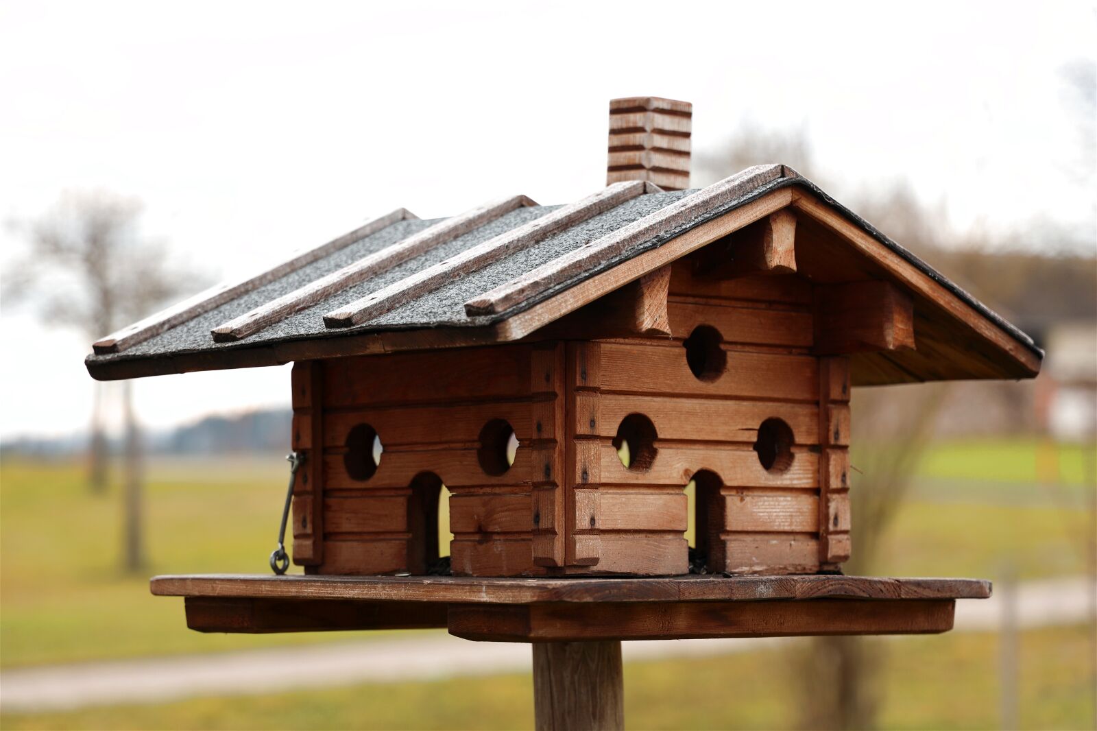 Canon RF 24-105mm F4L IS USM sample photo. Aviary, bird feeder, bird photography
