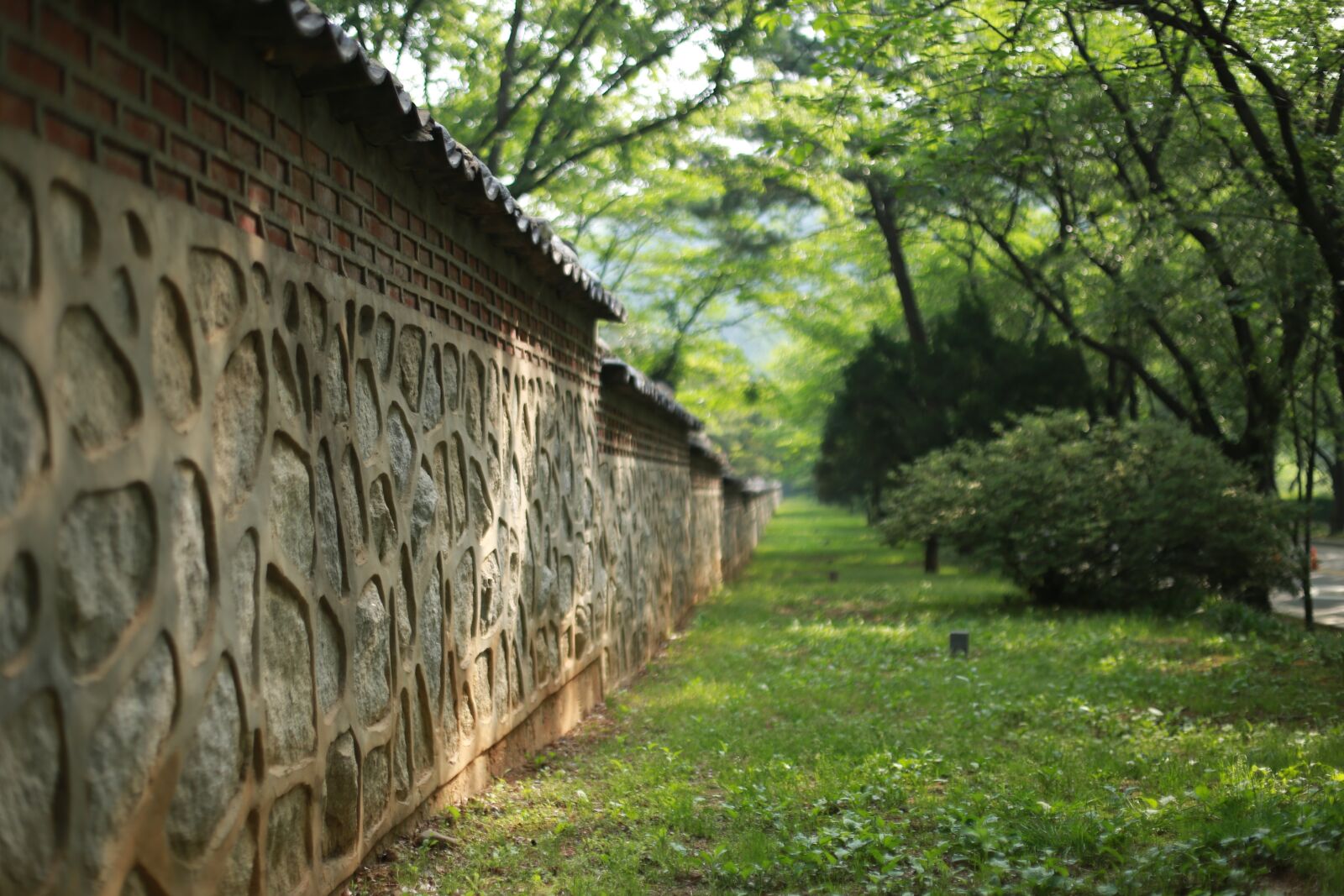 Canon EOS 6D + Canon EF 50mm F1.4 USM sample photo. Wood, wall, stone photography