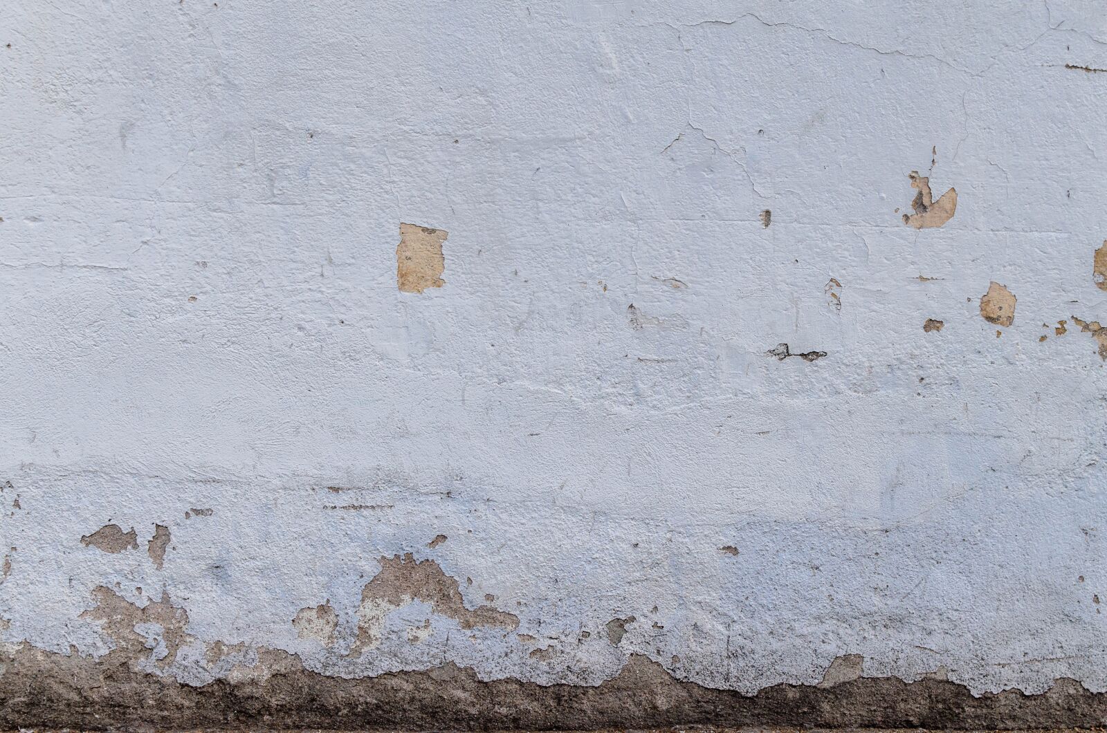 Nikon D5100 sample photo. Grey background, grunge, texture photography
