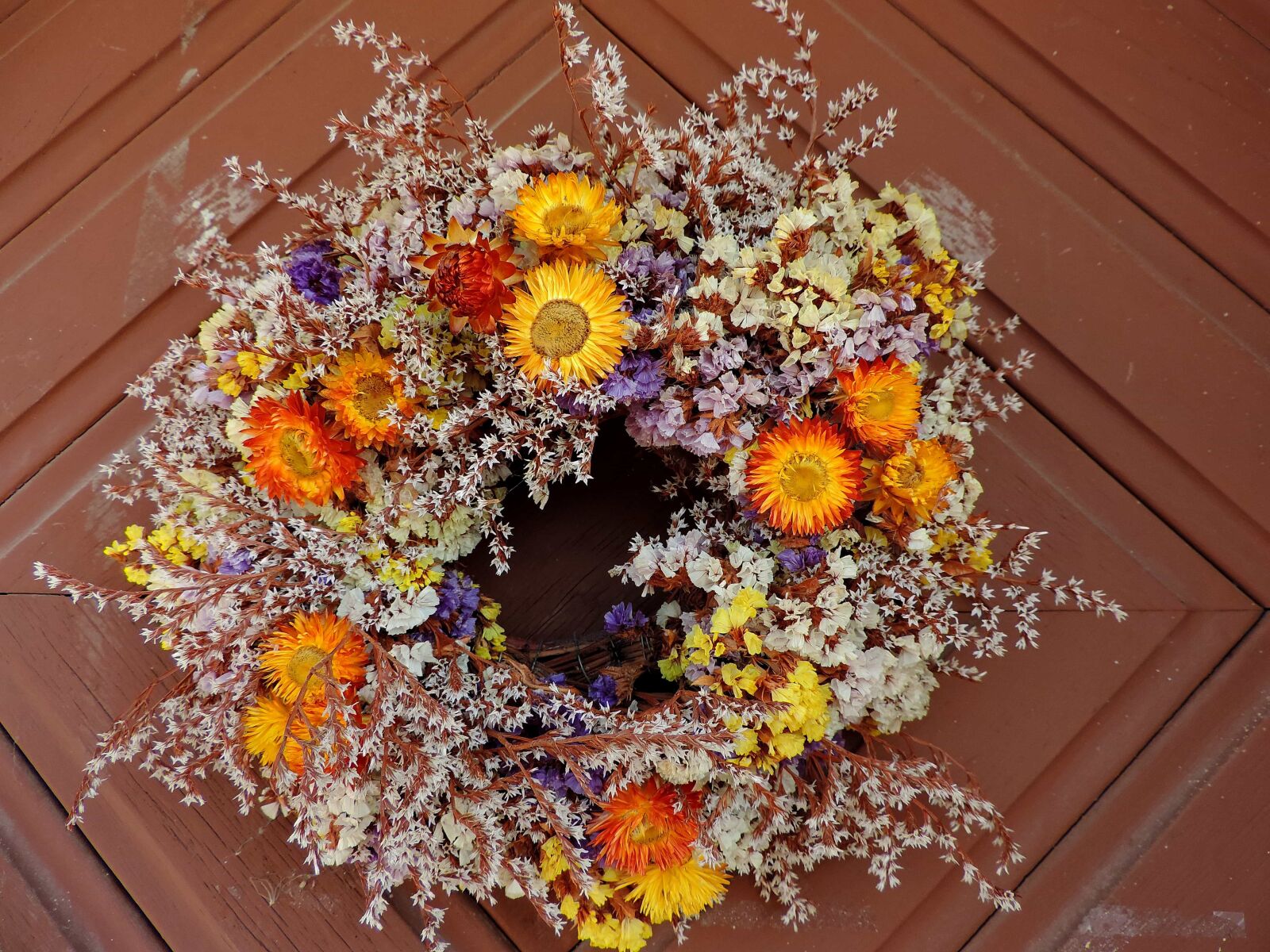 Nikon Coolpix P520 sample photo. Still life, decoration, flower photography