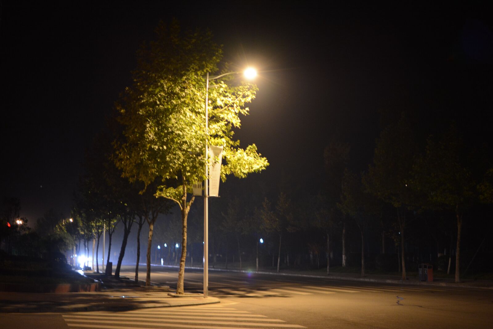 Nikon D7100 sample photo. Hhhjfhsh, s, d photography