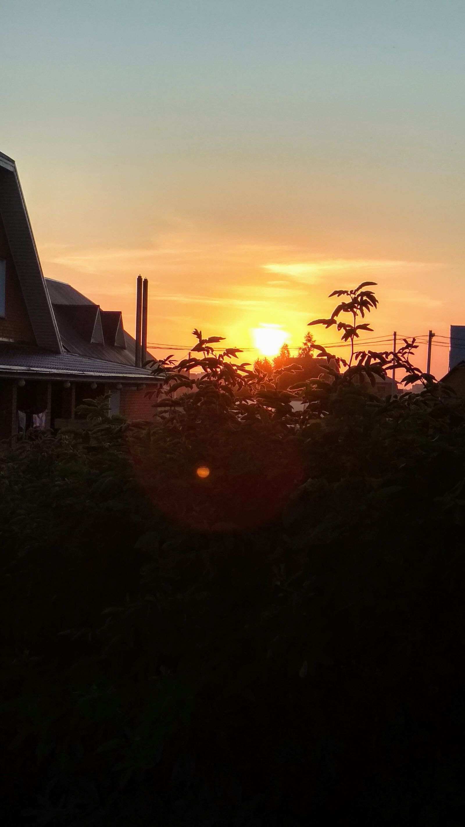 Xiaomi Redmi 4X sample photo. Sun, summer, nature photography