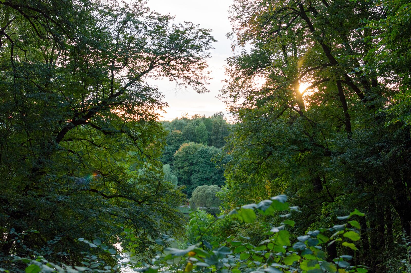 Nikon D3200 sample photo. Sunset, nature, park photography