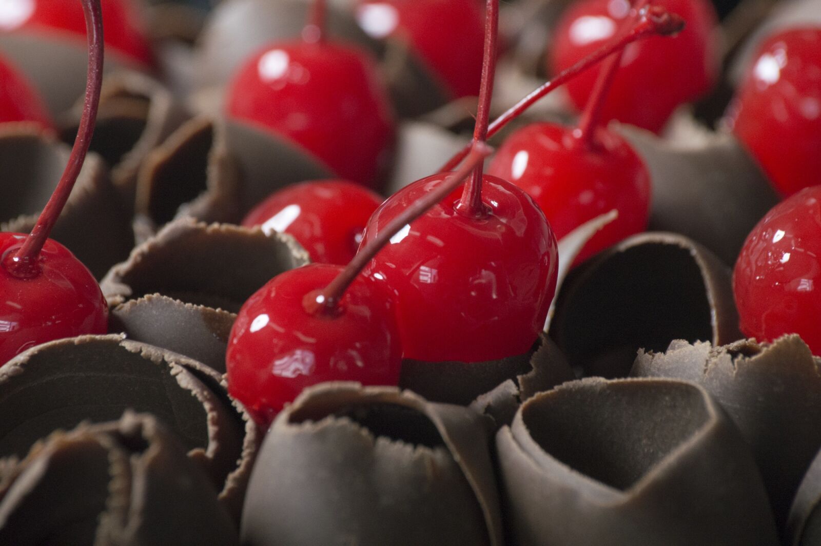 Nikon D3200 sample photo. Cherries, chocolate, dessert photography