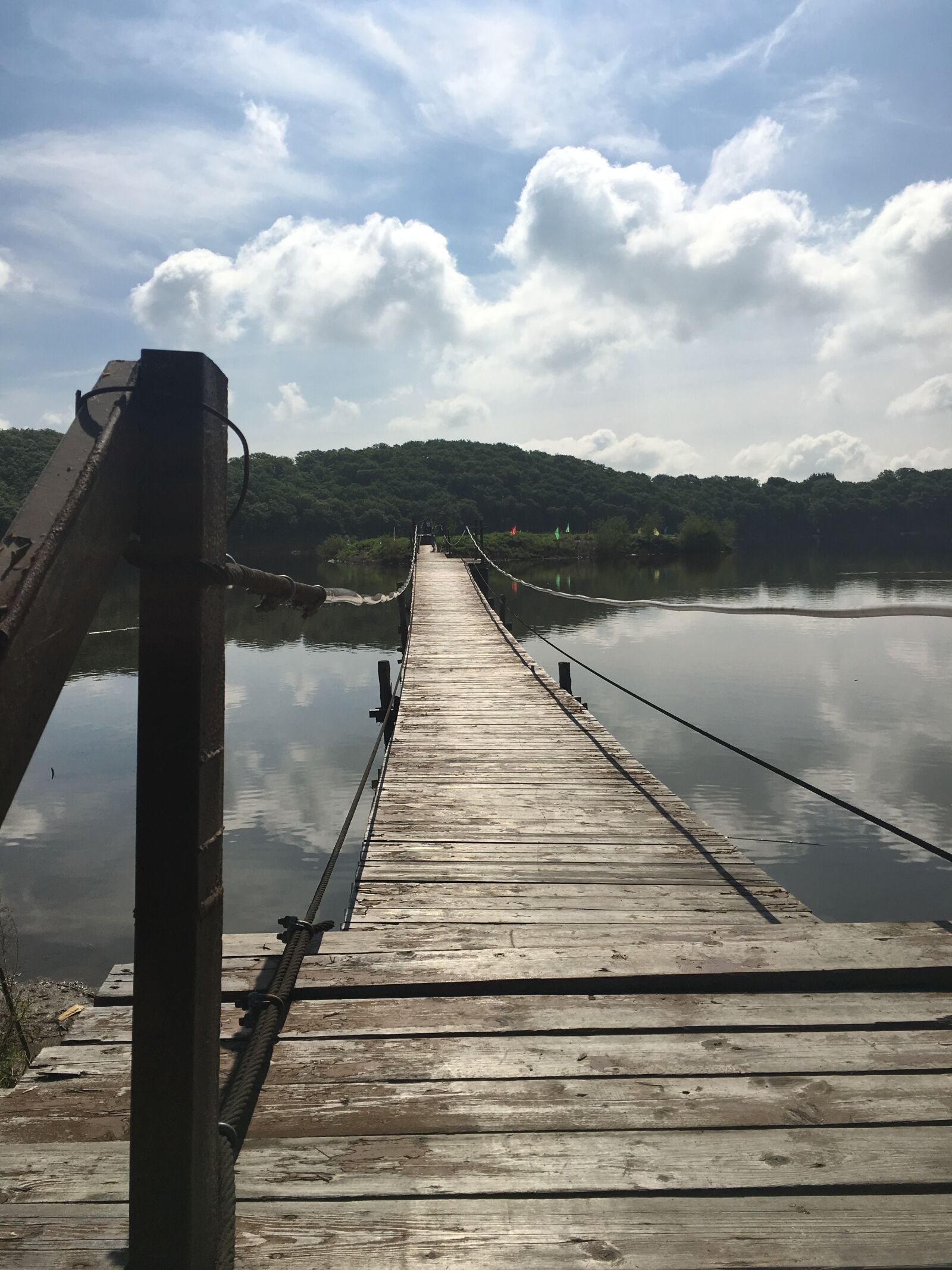 Apple iPhone 6s sample photo. Bridge, life, distance photography