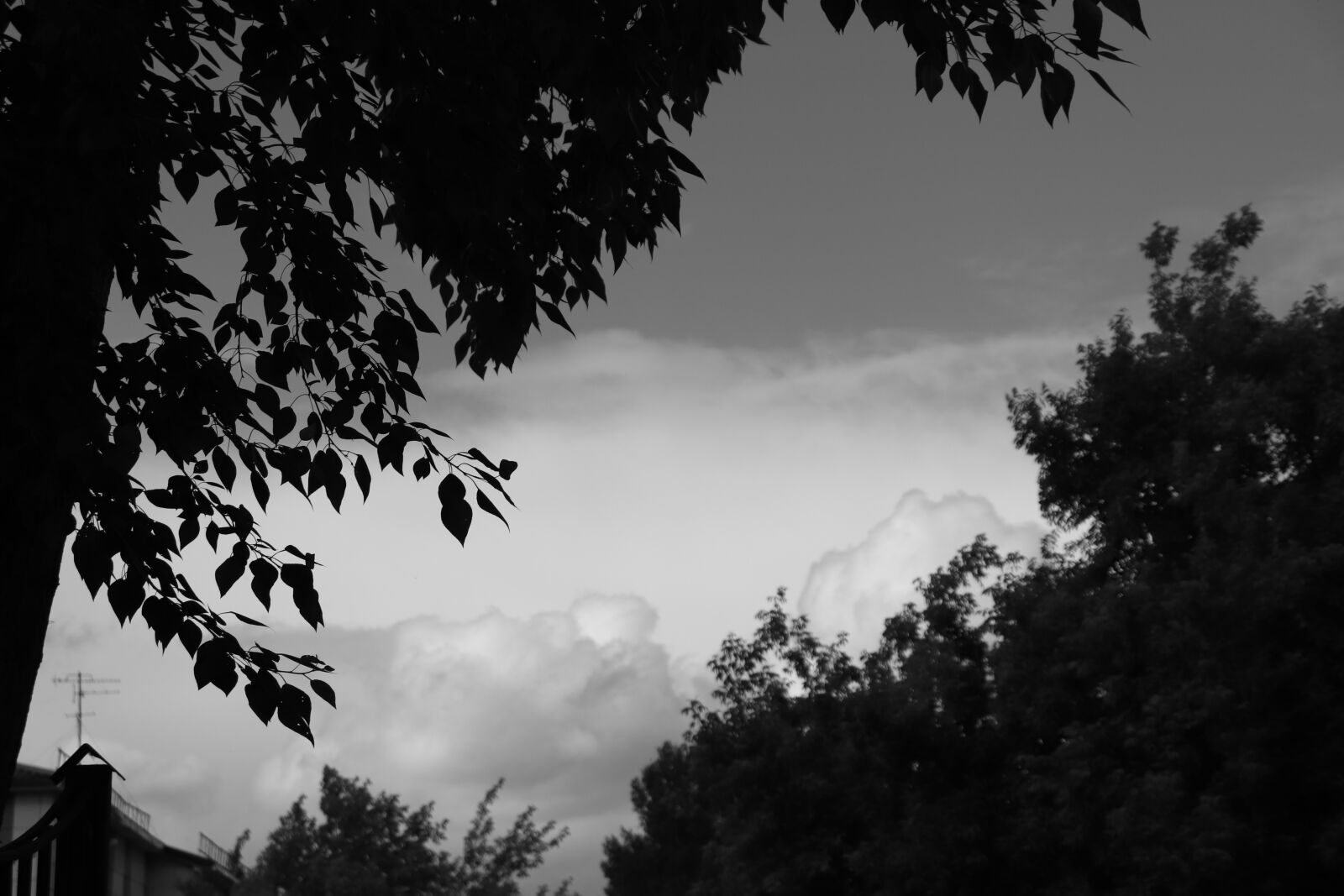 Canon EF-S 18-55mm F4-5.6 IS STM sample photo. Sky, clouds, nature photography