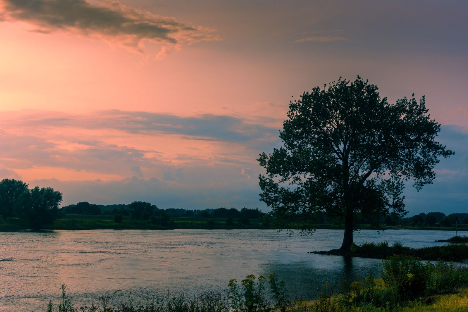 Nikon D7200 sample photo. River, landscape, tree photography