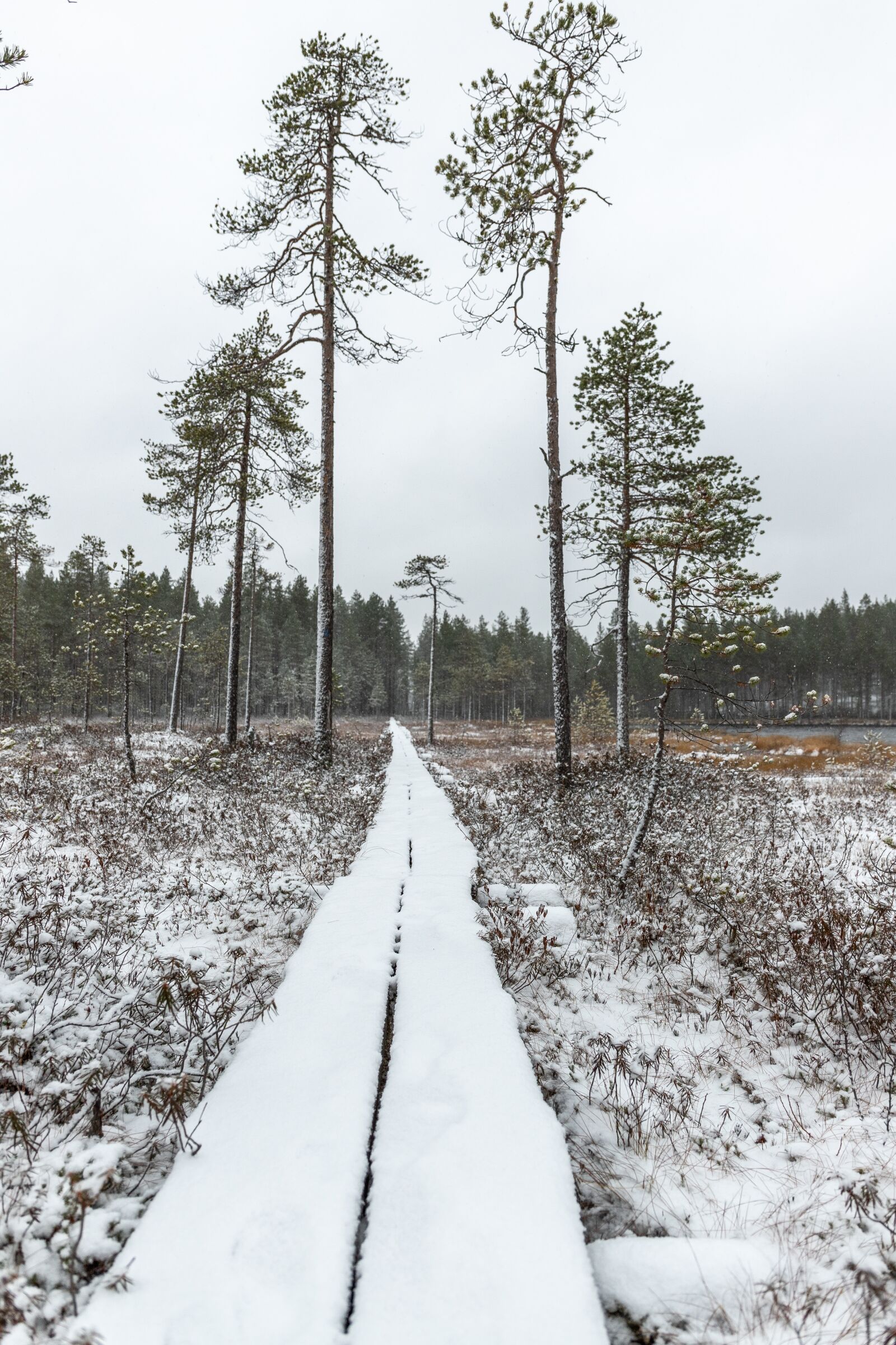 Canon EOS 6D Mark II sample photo. Winter, snow, cold photography