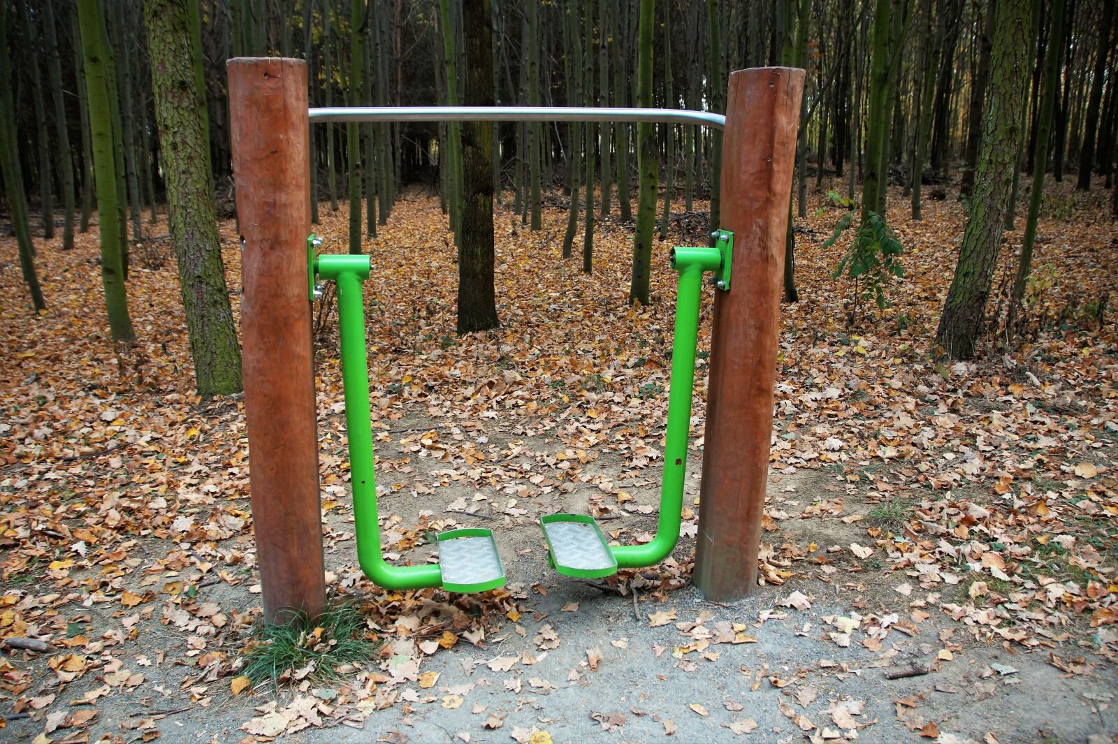 Sony SLT-A58 sample photo. Outdoor, fitness, gym photography