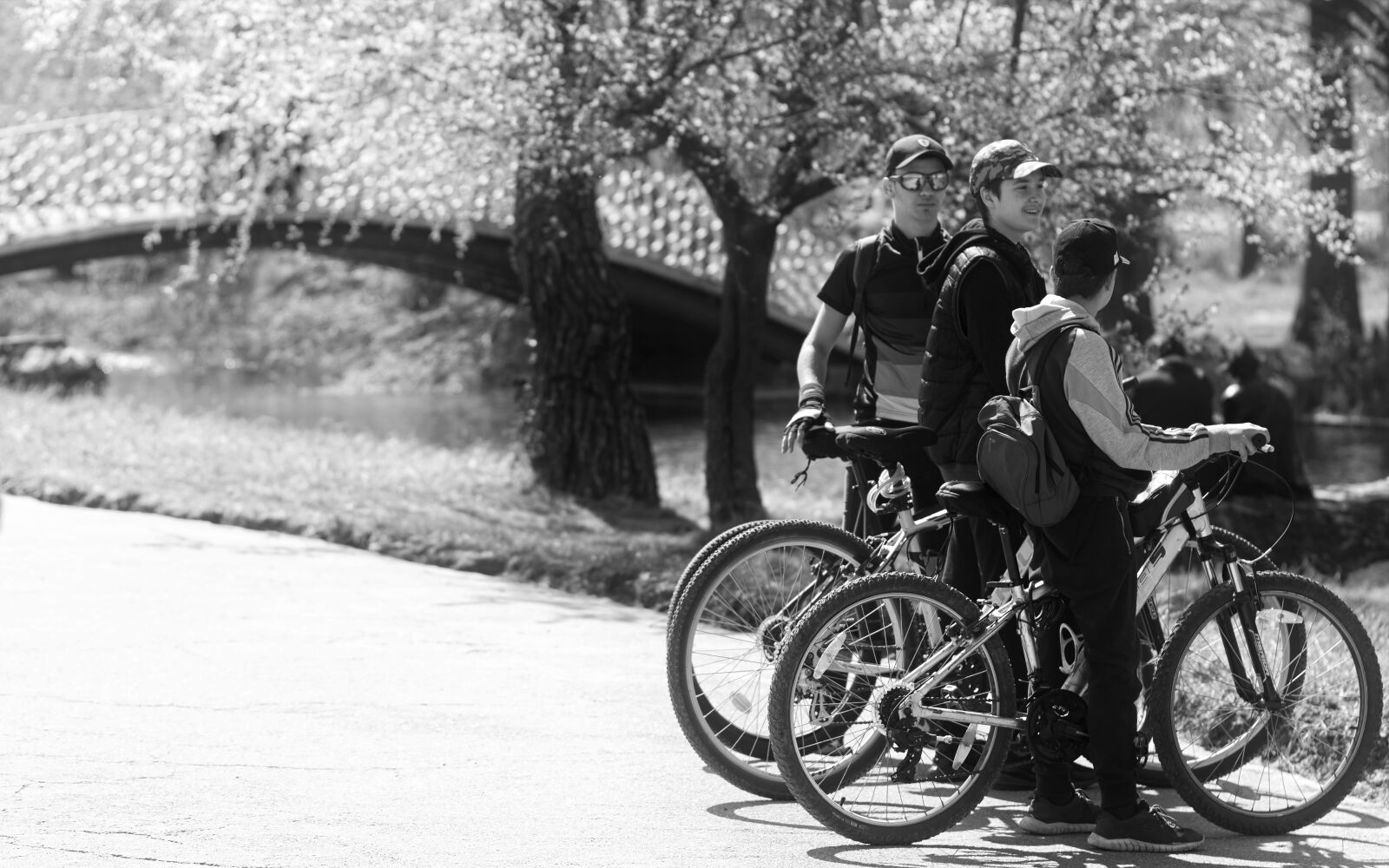 Nikon D5300 sample photo. Black and white, cyclists photography