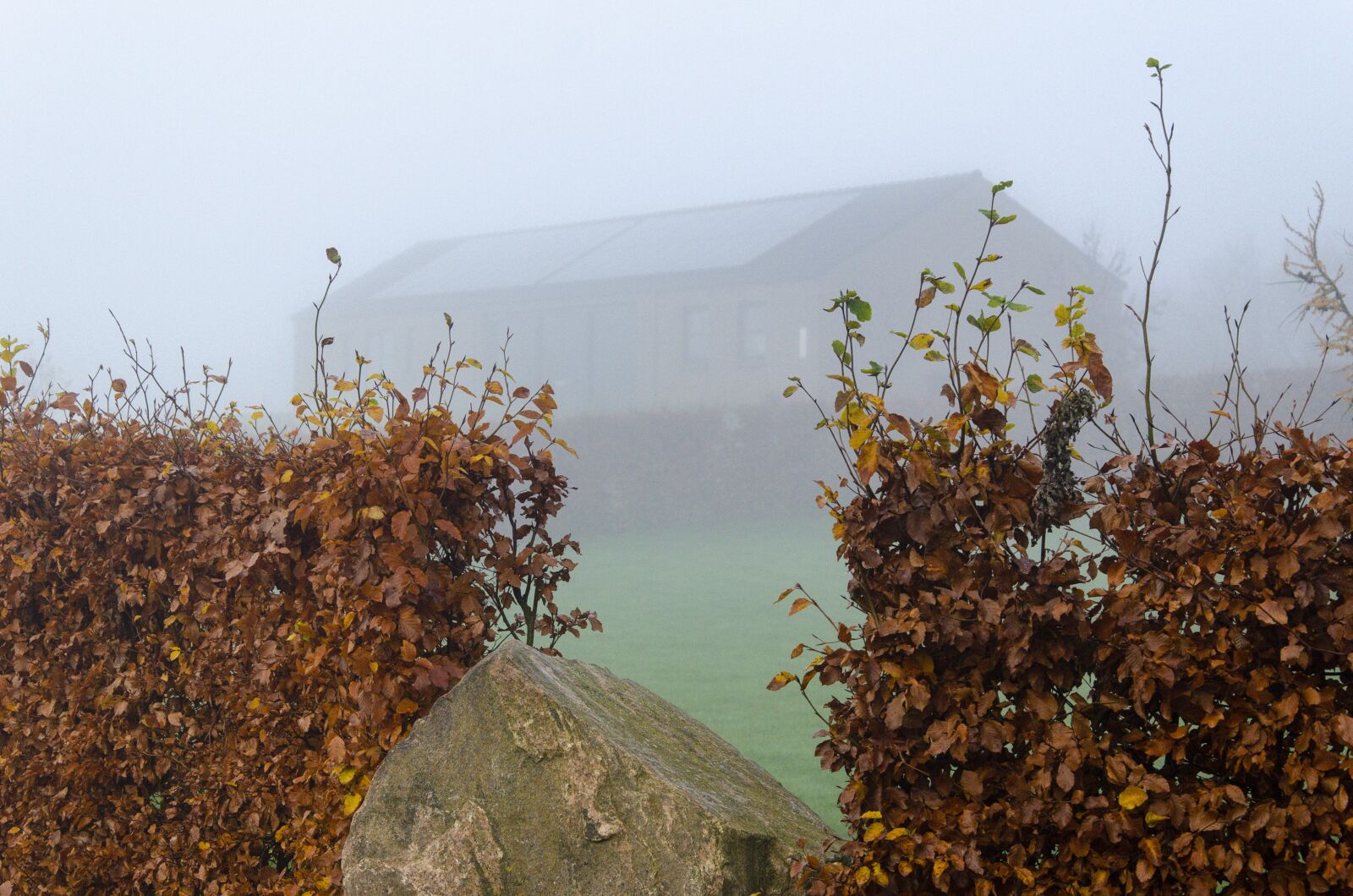 Nikon D7000 sample photo. Autumn, overcast skies, dis photography