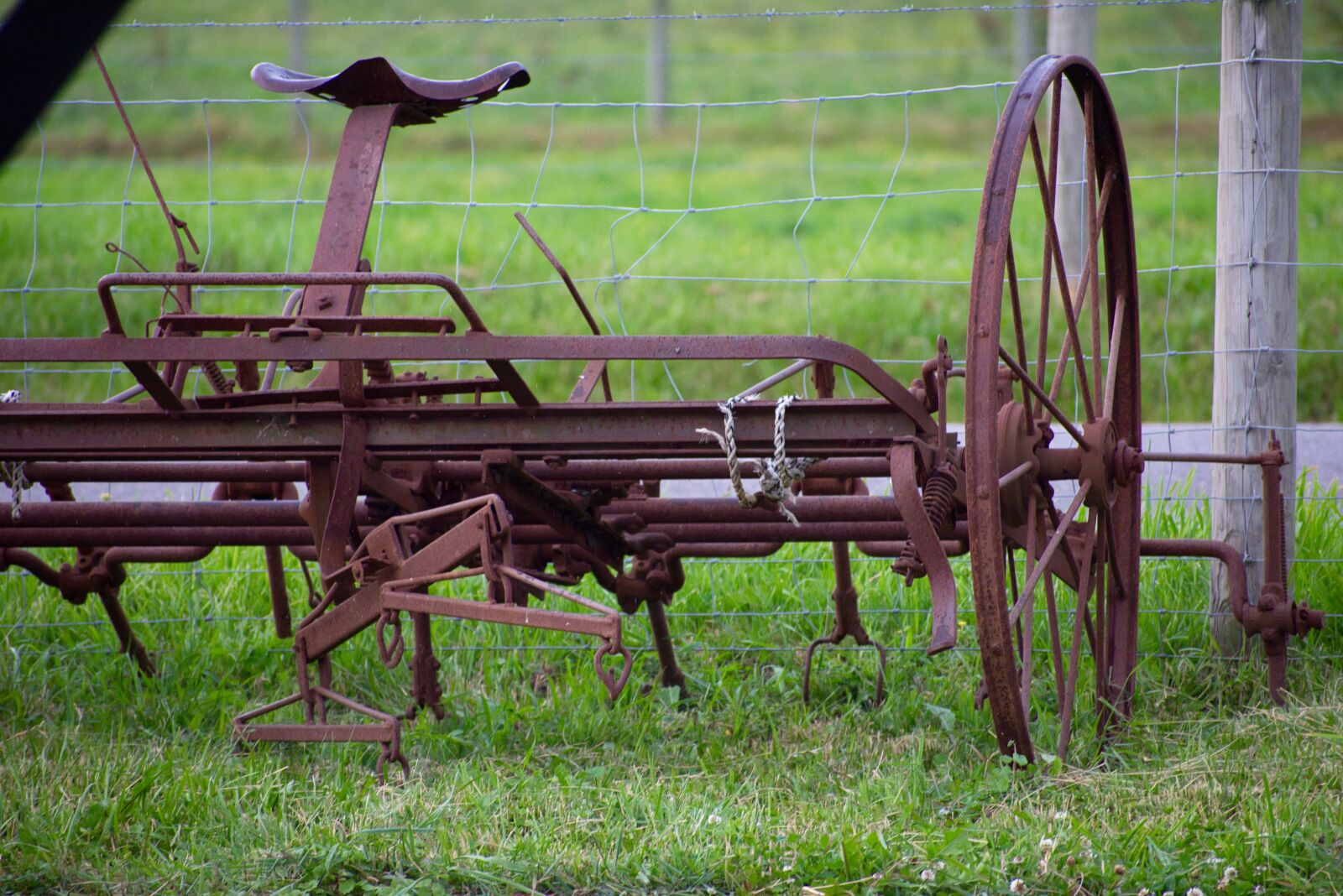 Nikon D3400 sample photo. Rusty, farm equipment, metal photography