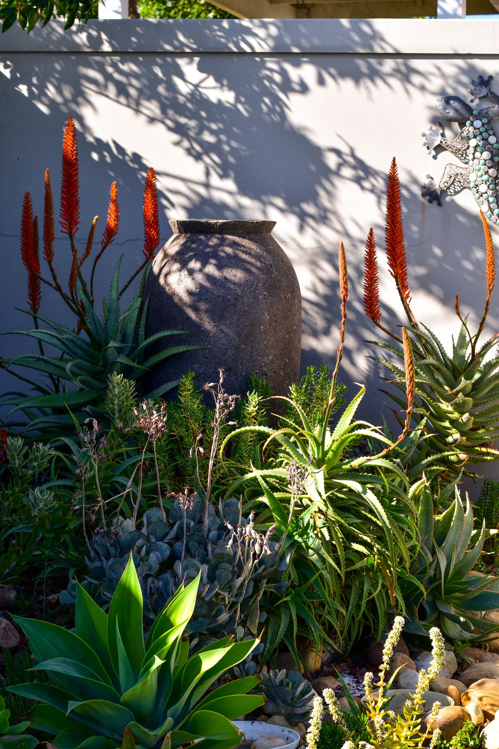 Nikon D5500 sample photo. Aloe, flower, garden photography
