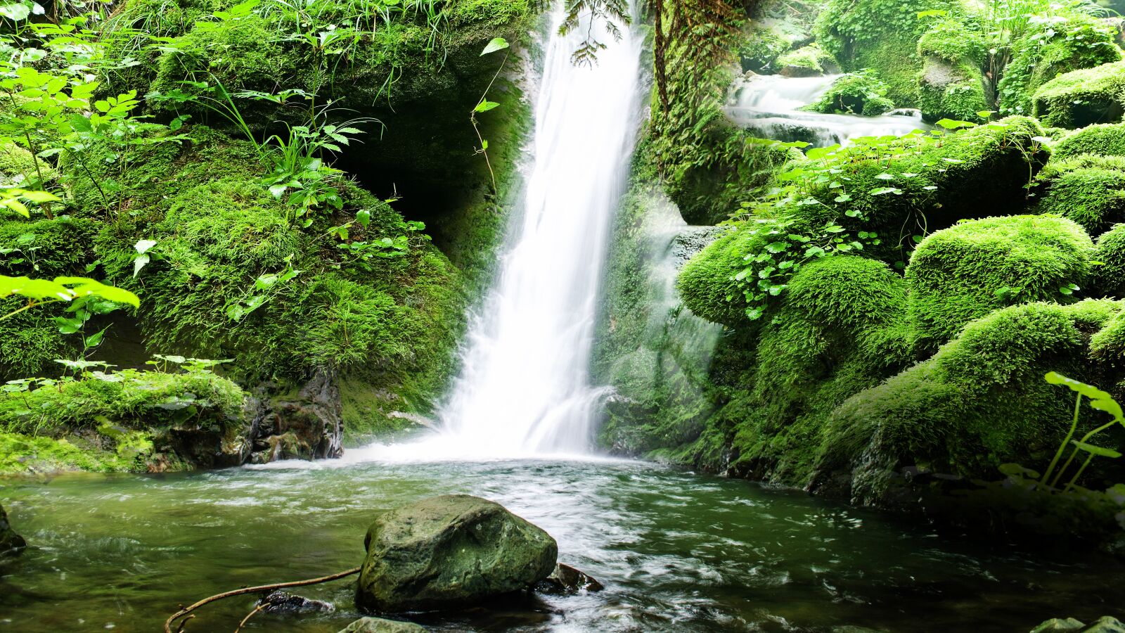 Nikon D5100 sample photo. River, green, water photography