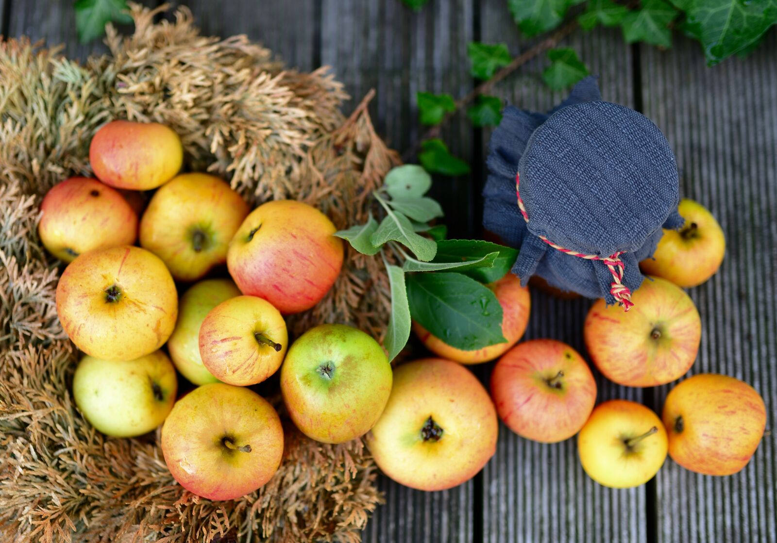 Nikon D610 sample photo. Apples, fruit, jam photography