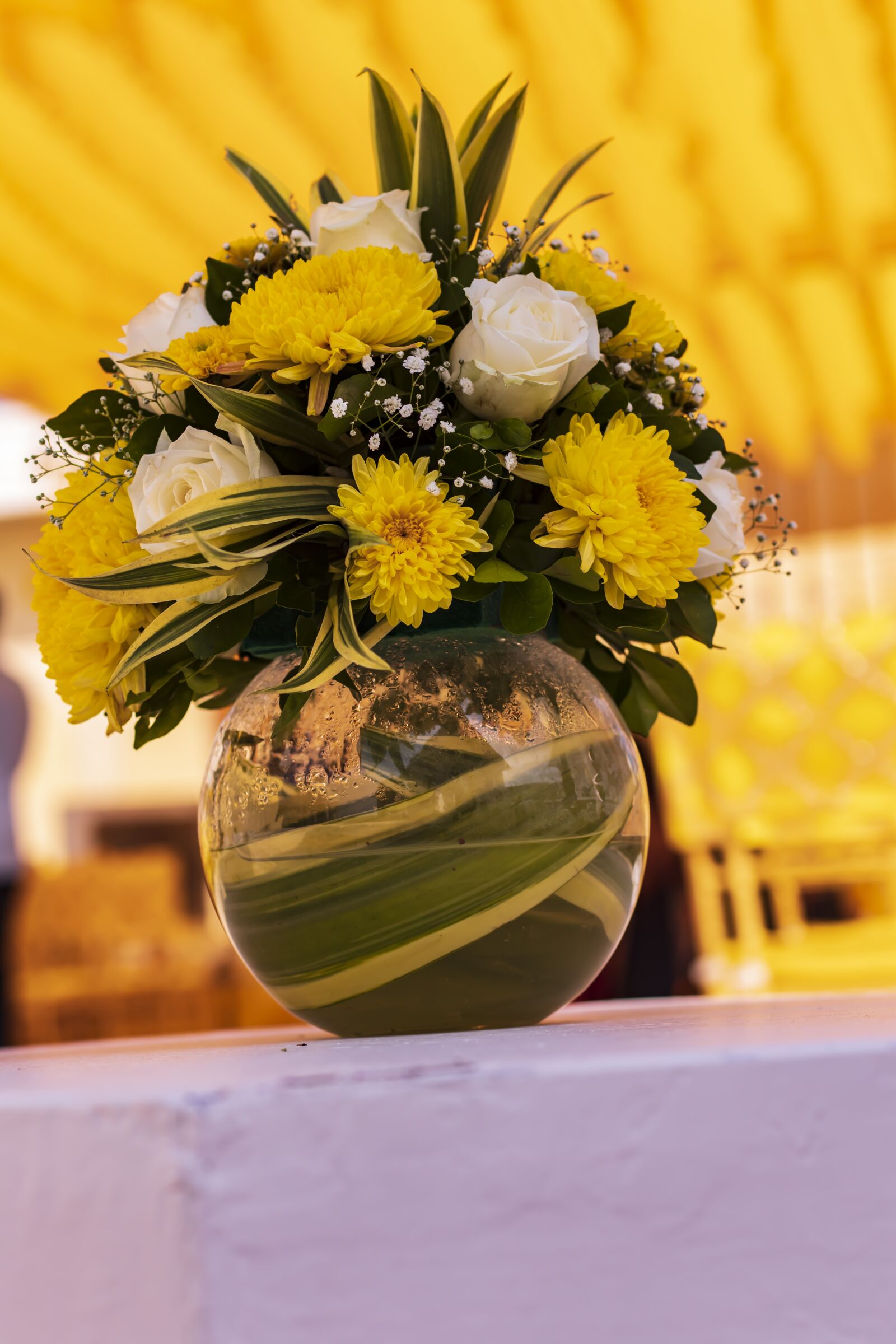 Canon EOS M50 (EOS Kiss M) sample photo. Flowers, yellow, plant photography