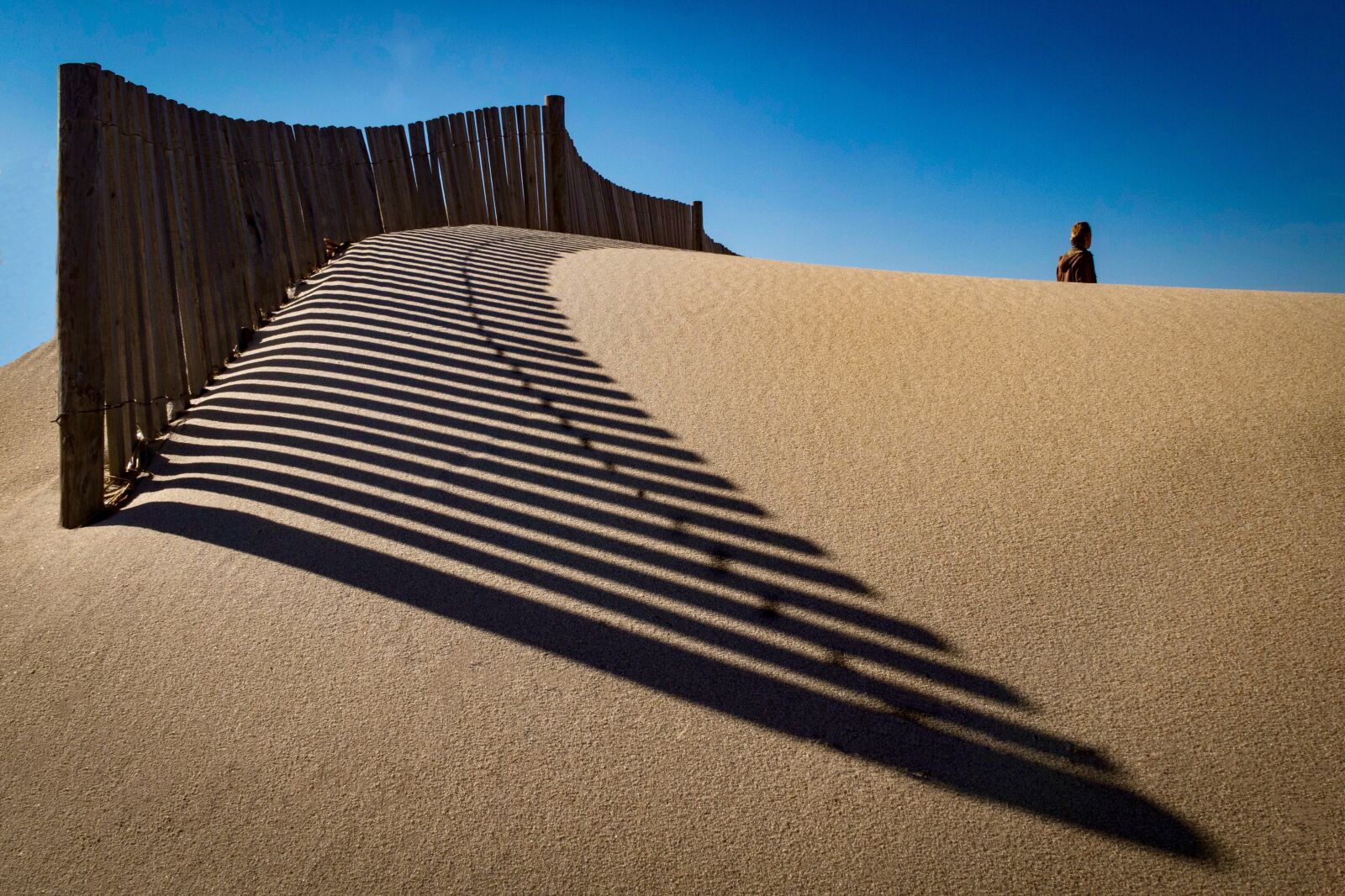 Canon PowerShot G7 X sample photo. No person, desert, sand photography