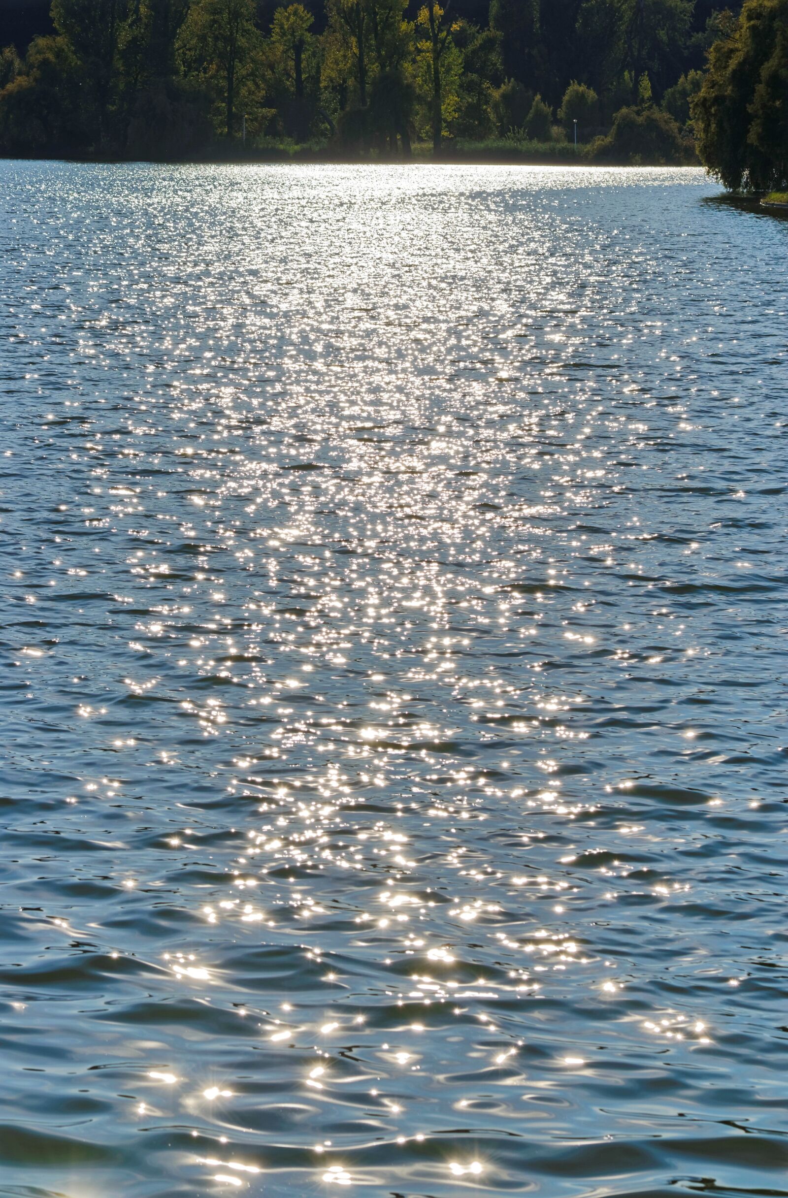 Nikon D5300 sample photo. Lake, water, nature photography