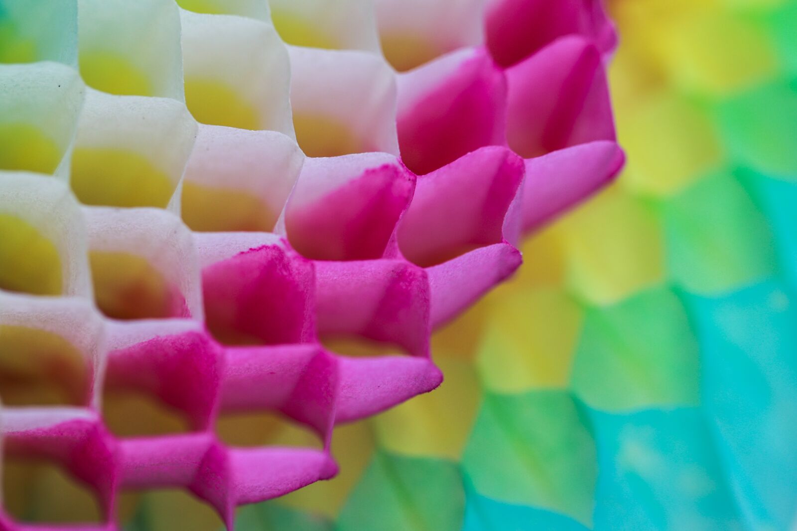 Canon EF 100mm F2.8L Macro IS USM sample photo. Range chinese, decoration, macro photography