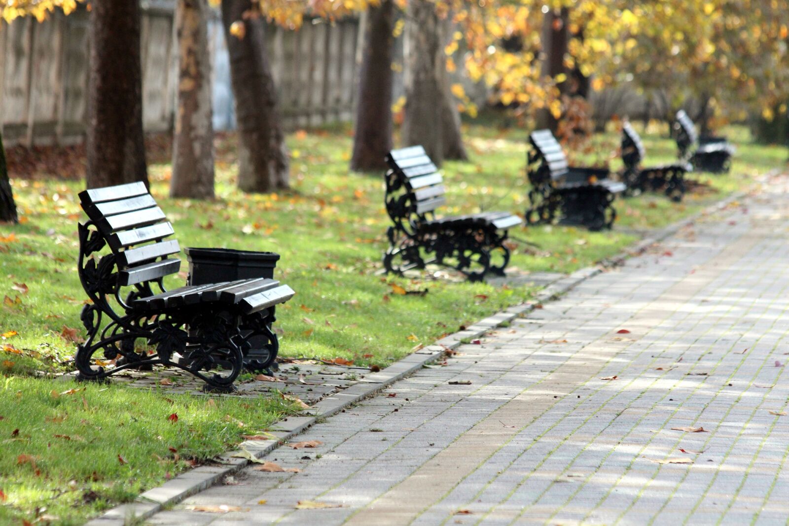 Canon EOS 650D (EOS Rebel T4i / EOS Kiss X6i) sample photo. Park, benches, autumn photography