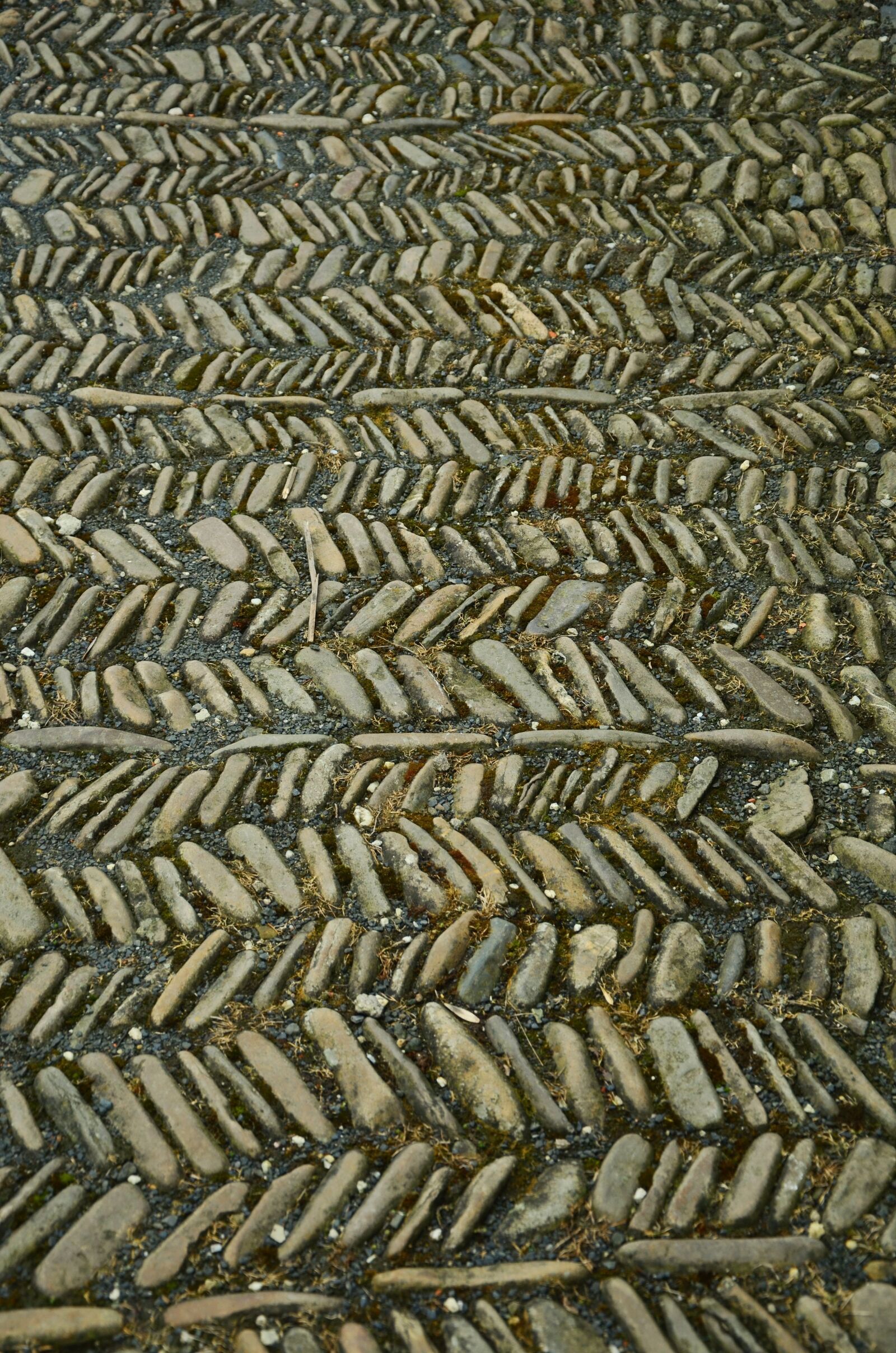 Nikon D5100 sample photo. Stones, away, steinig photography