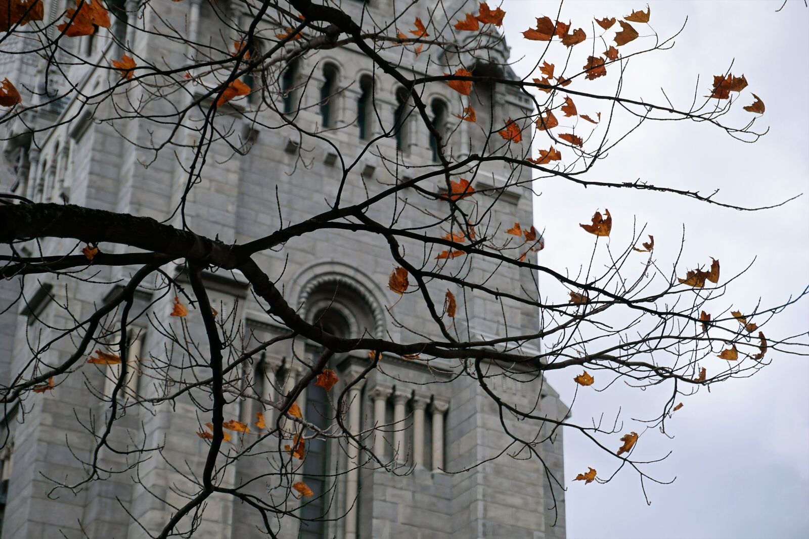 Sony a6000 sample photo. Autumn, leaves, church, building photography