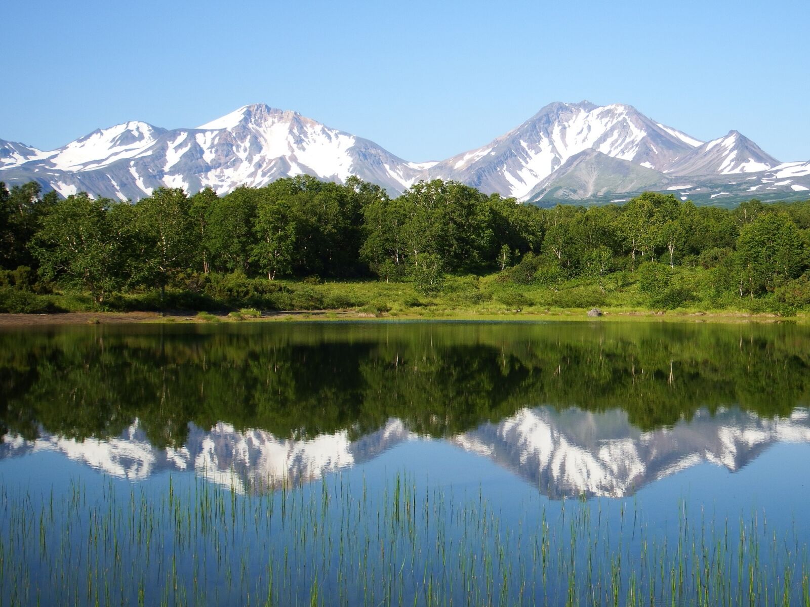 Fujifilm FinePix S1 sample photo. Forest lake, forest, mountains photography