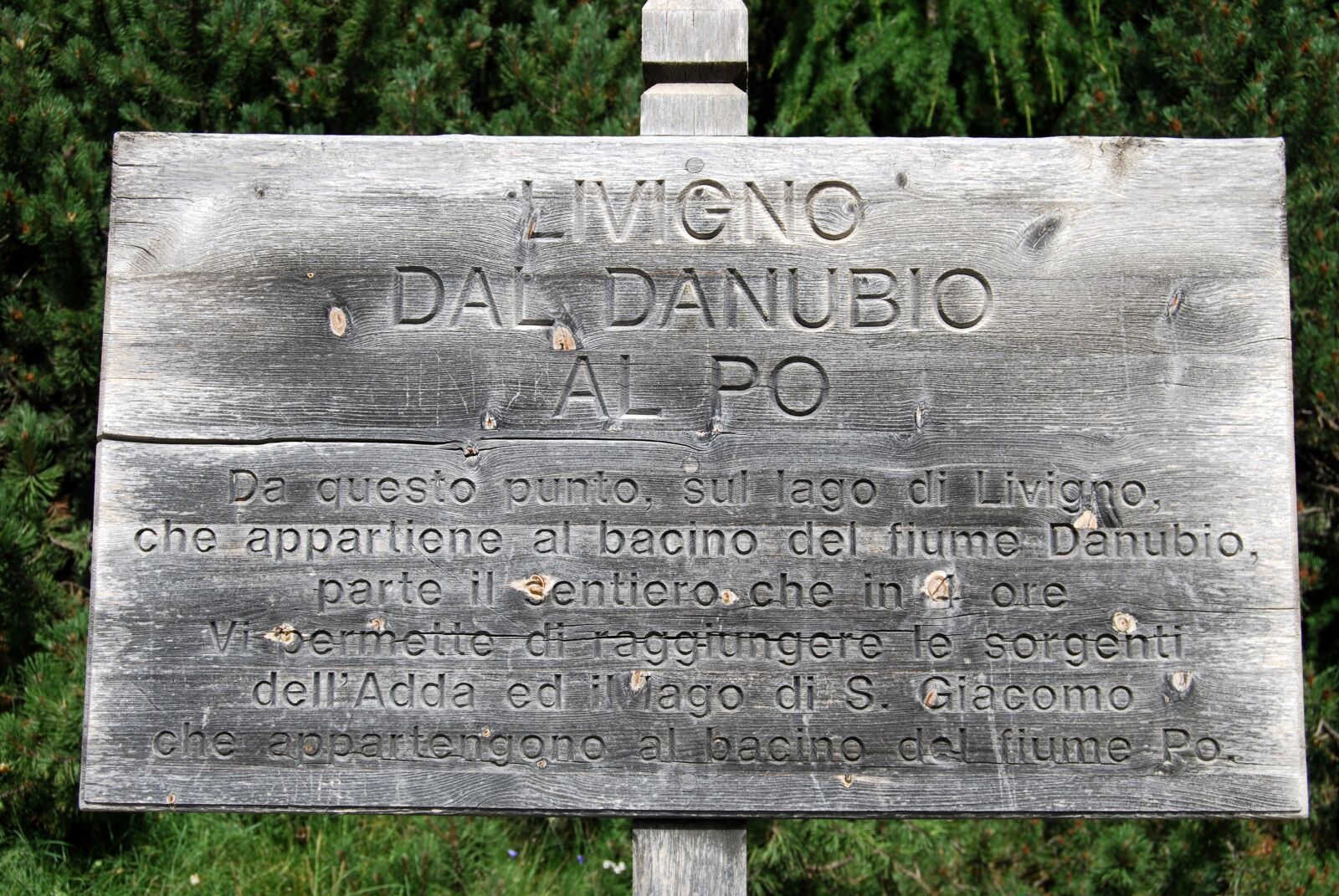 Nikon D60 sample photo. Cartel, old, wood photography