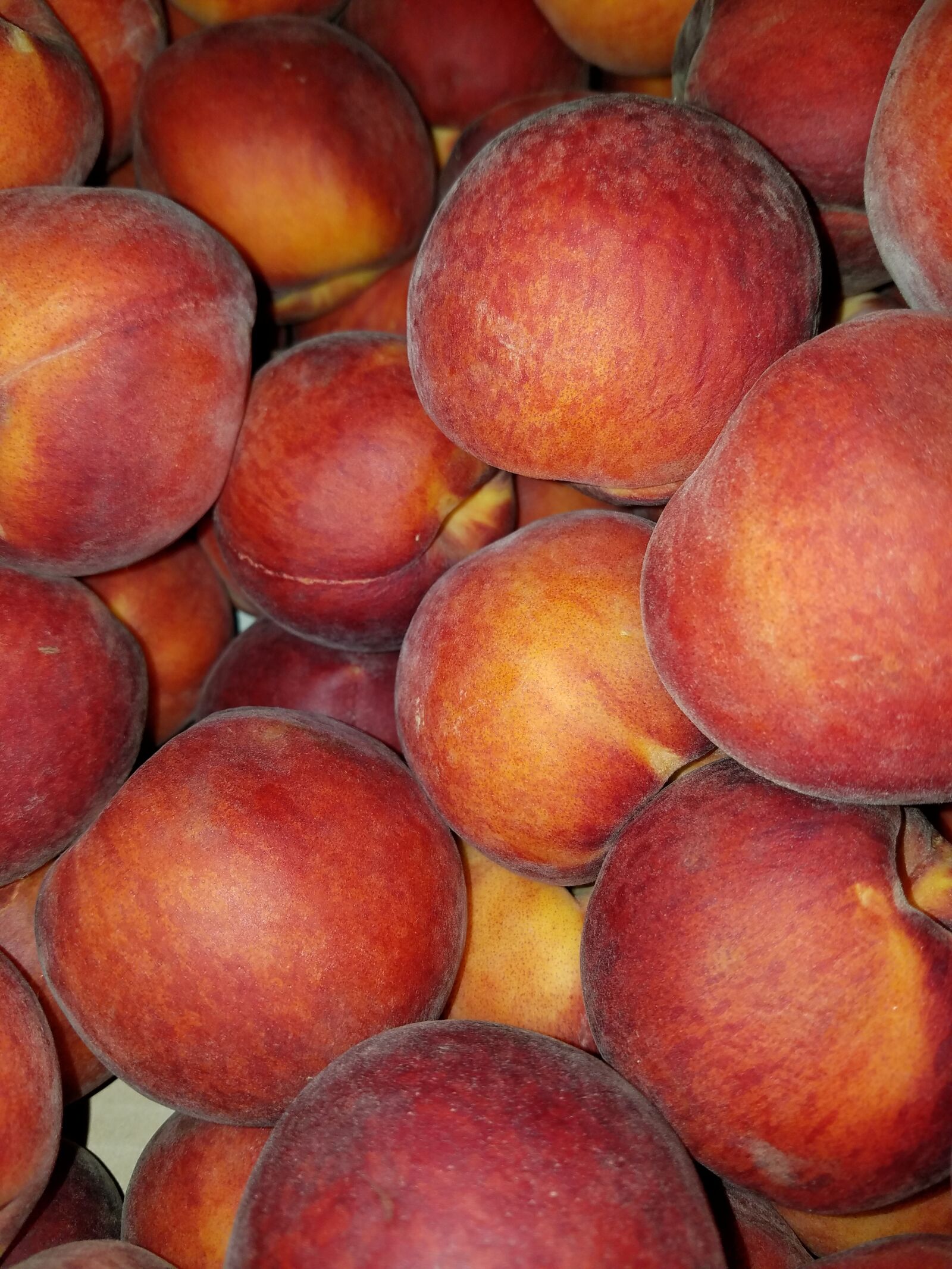 Samsung Galaxy S7 sample photo. Peach, peaches, elberta photography