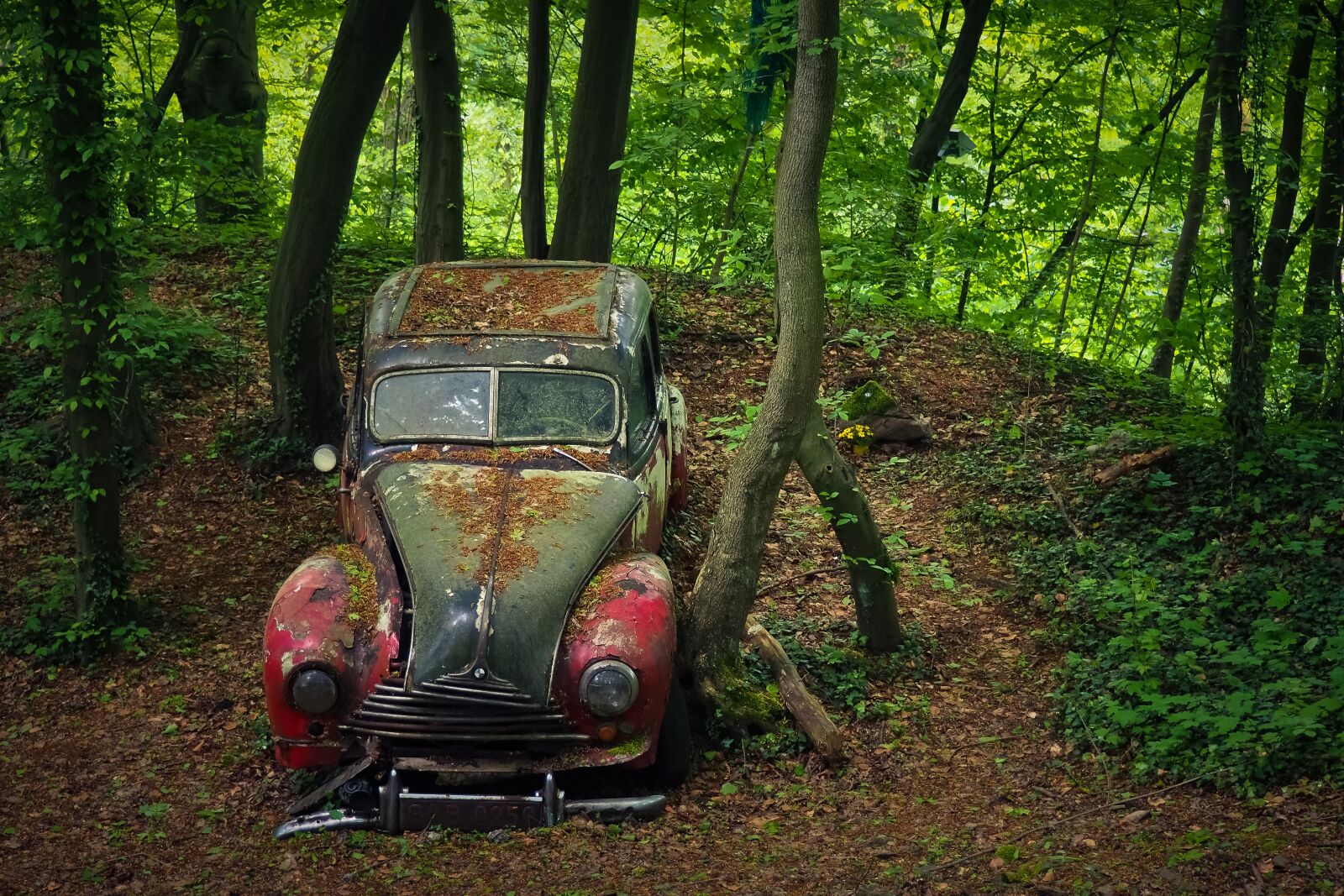 Olympus OM-D E-M10 sample photo. Auto, car cemetery, oldtimer photography