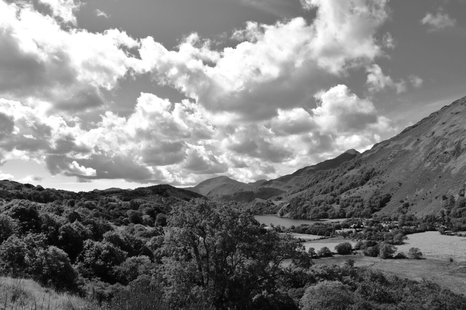 Nikon D5600 sample photo. Clouds, black white, landscape photography