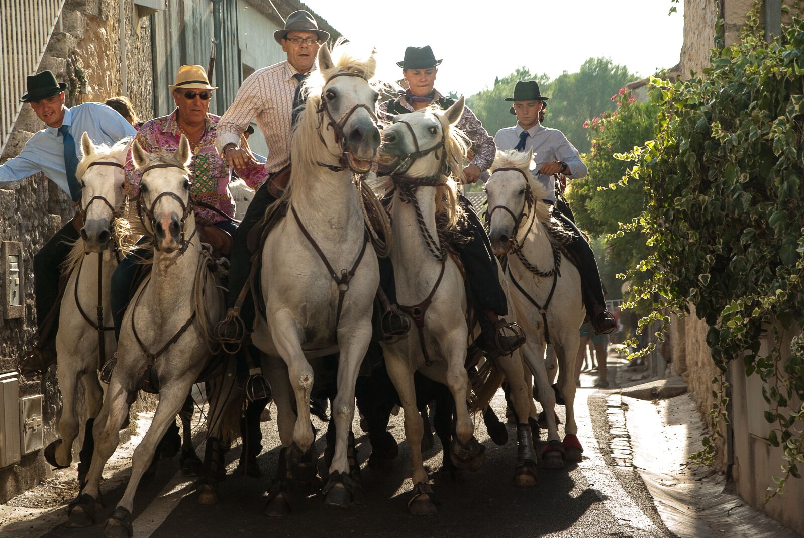 Pentax K10D sample photo. Camargue, riders, race photography