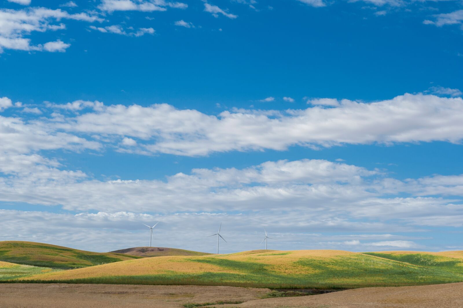 Nikon D700 sample photo. Hills, grassland, meadow photography