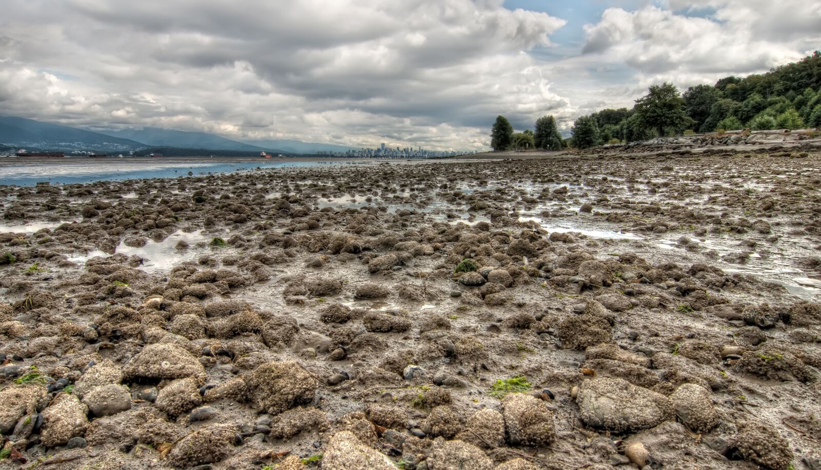 Nikon D5000 sample photo. Bc, beach, beautiful photography