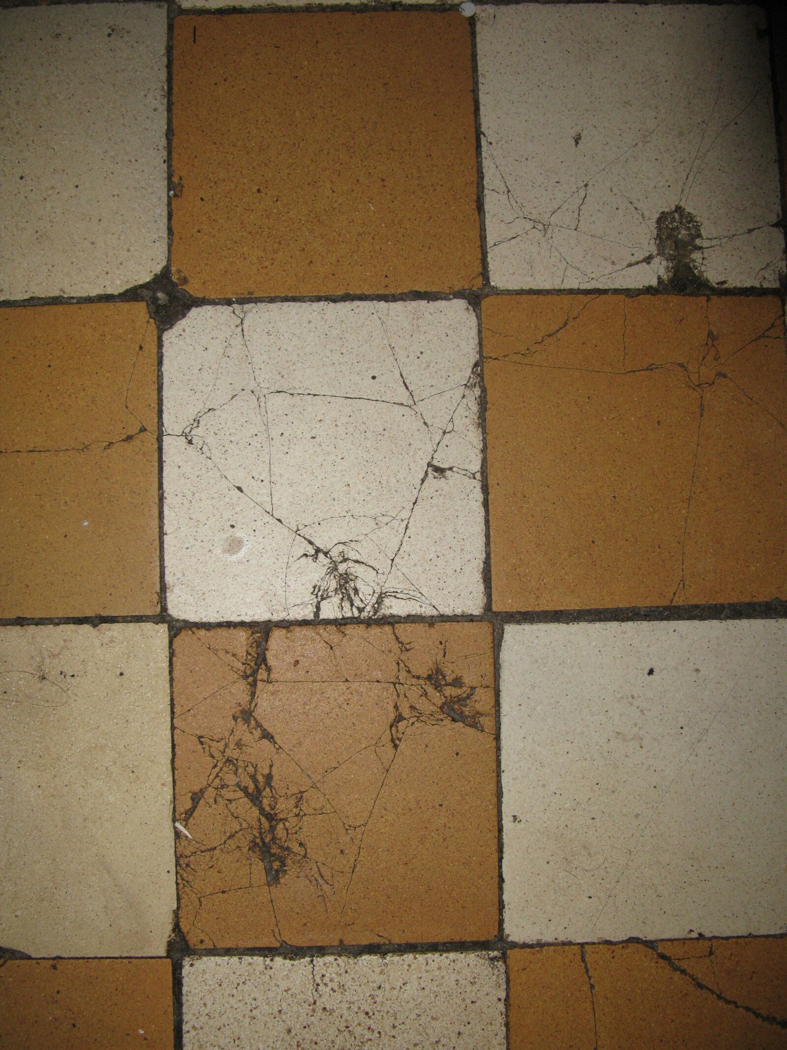 Canon POWERSHOT A650 IS sample photo. Tile, invoice, texture photography
