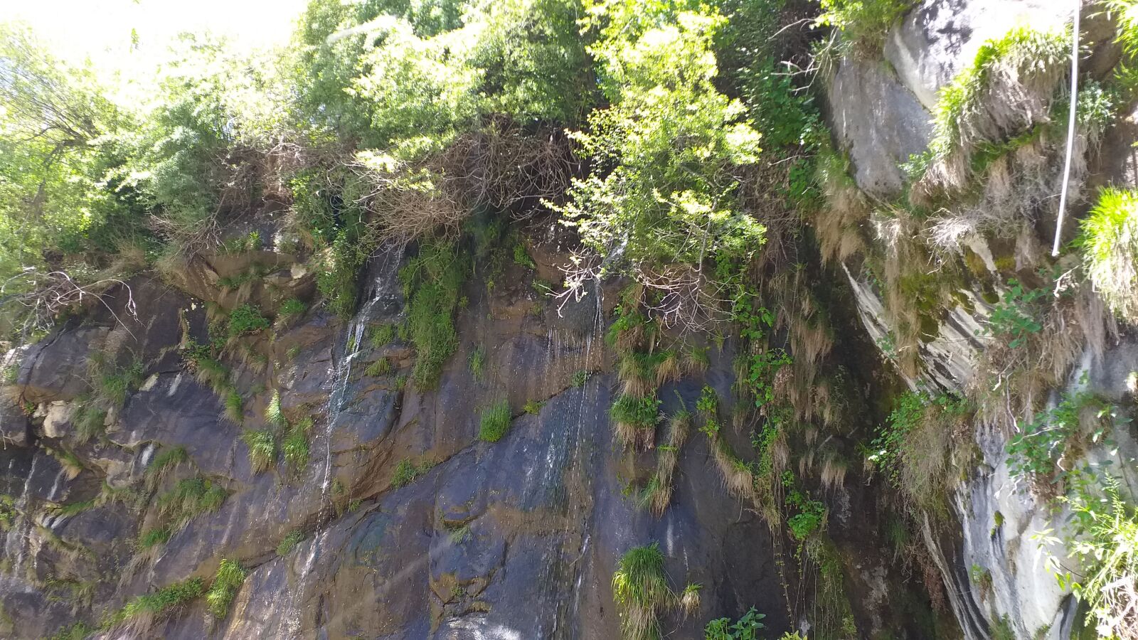 Samsung SM-J610F sample photo. Nature, beautiful, trees photography