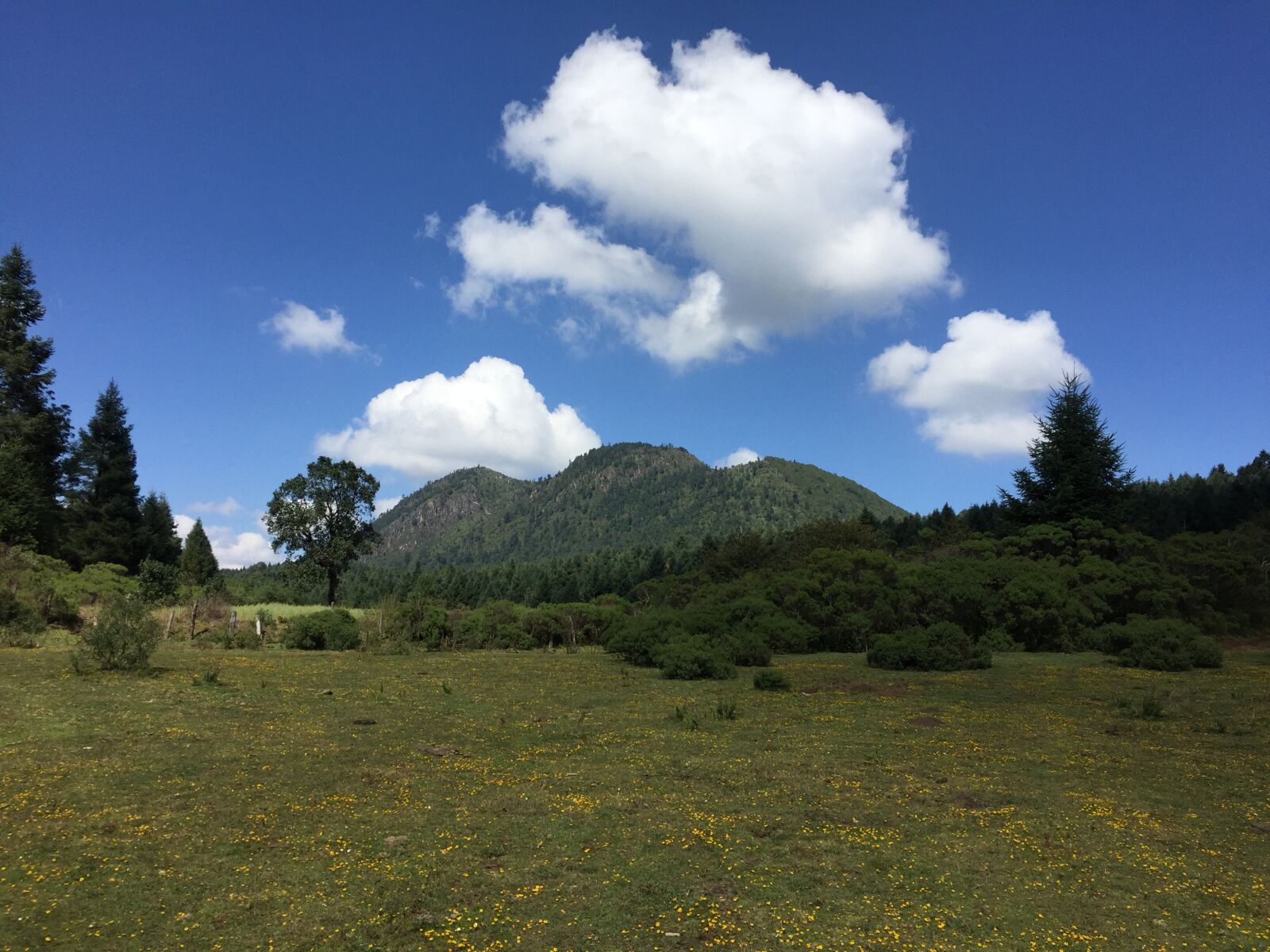 Apple iPhone 6 sample photo. Viewpoint, sabanera, morelia photography