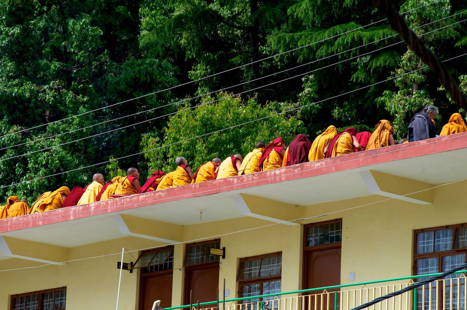 Nikon D300 sample photo. Monks, nepal, india photography