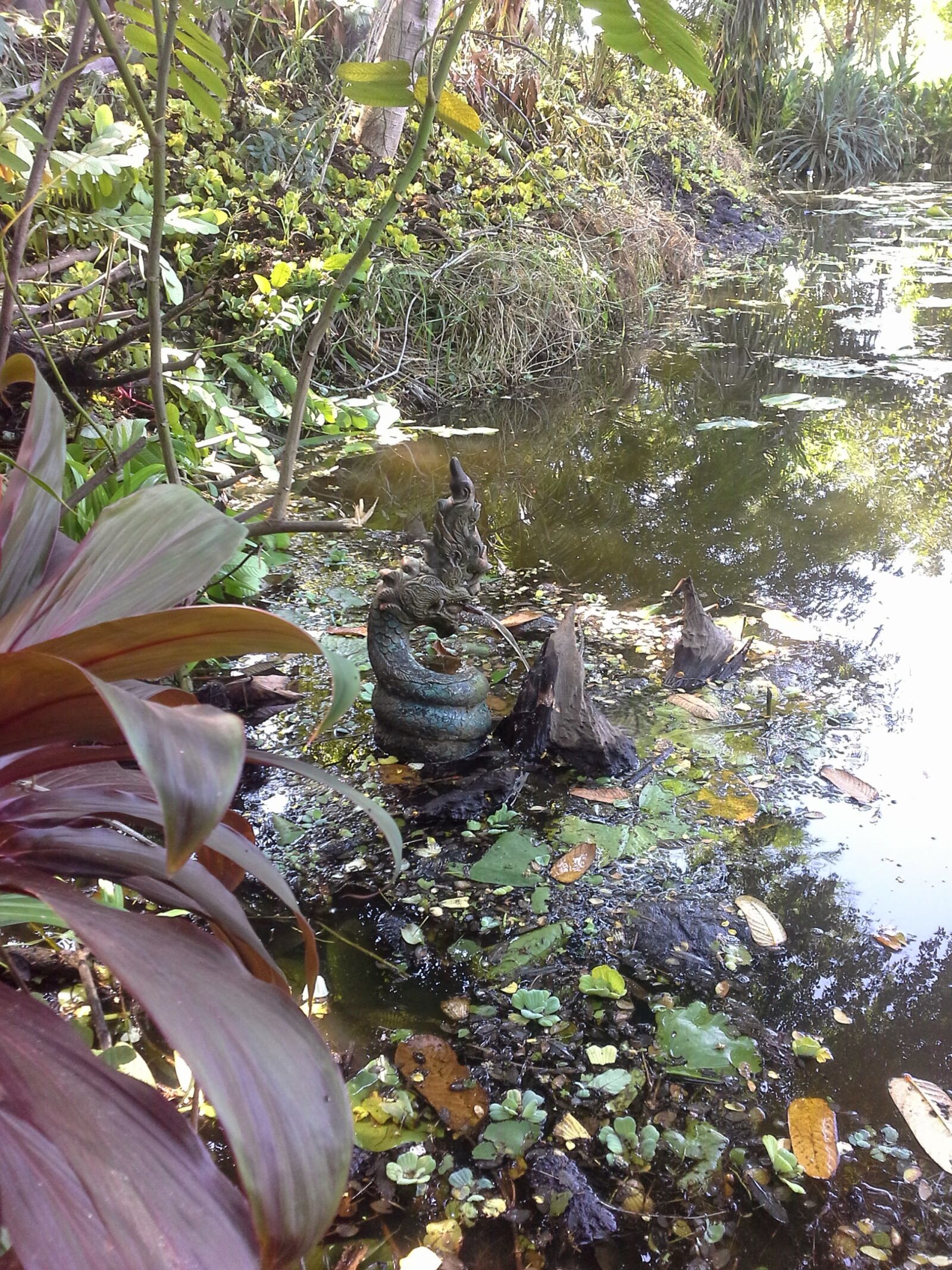 Samsung Galaxy Note 10.1 sample photo