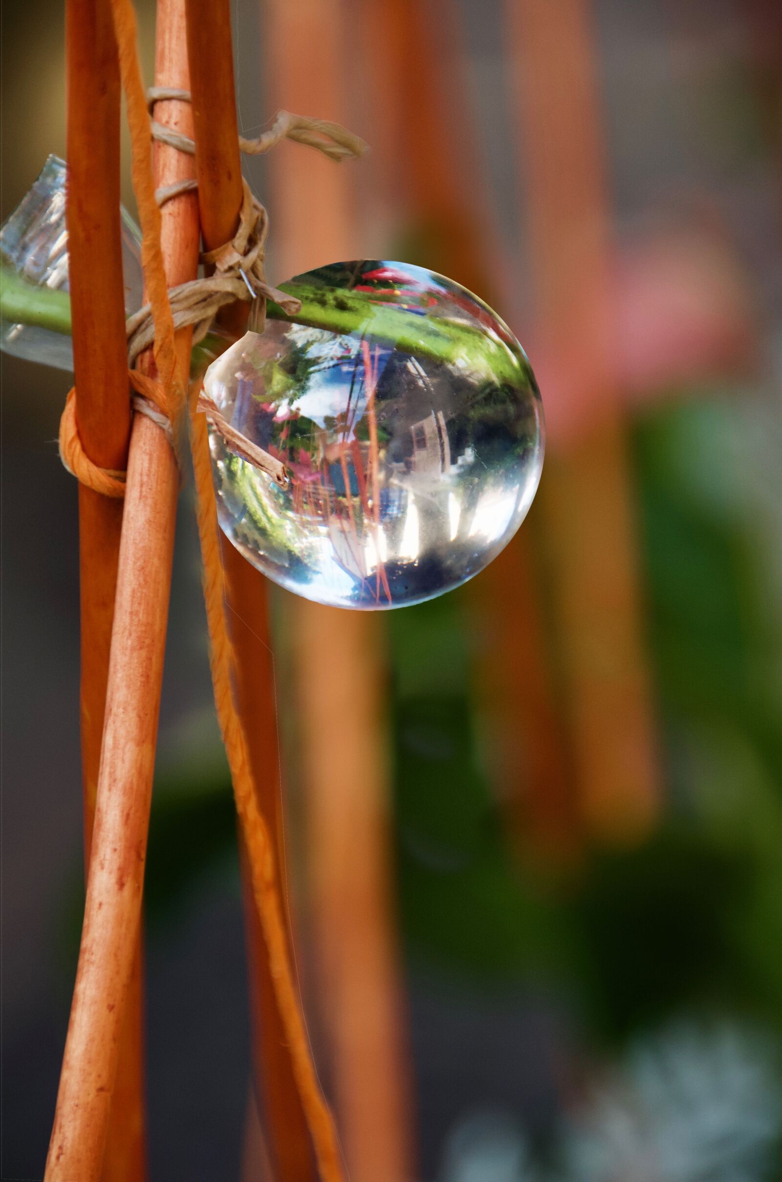 Nikon D5100 sample photo. Bubble, water, liquid photography