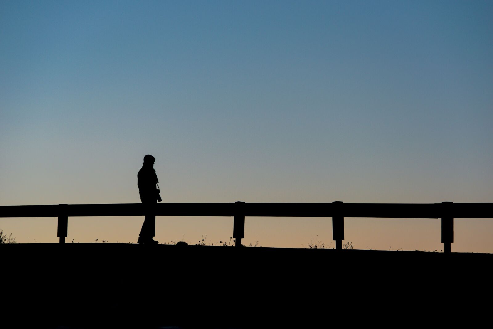 Nikon D5500 sample photo. Dawn, photo, photographer photography