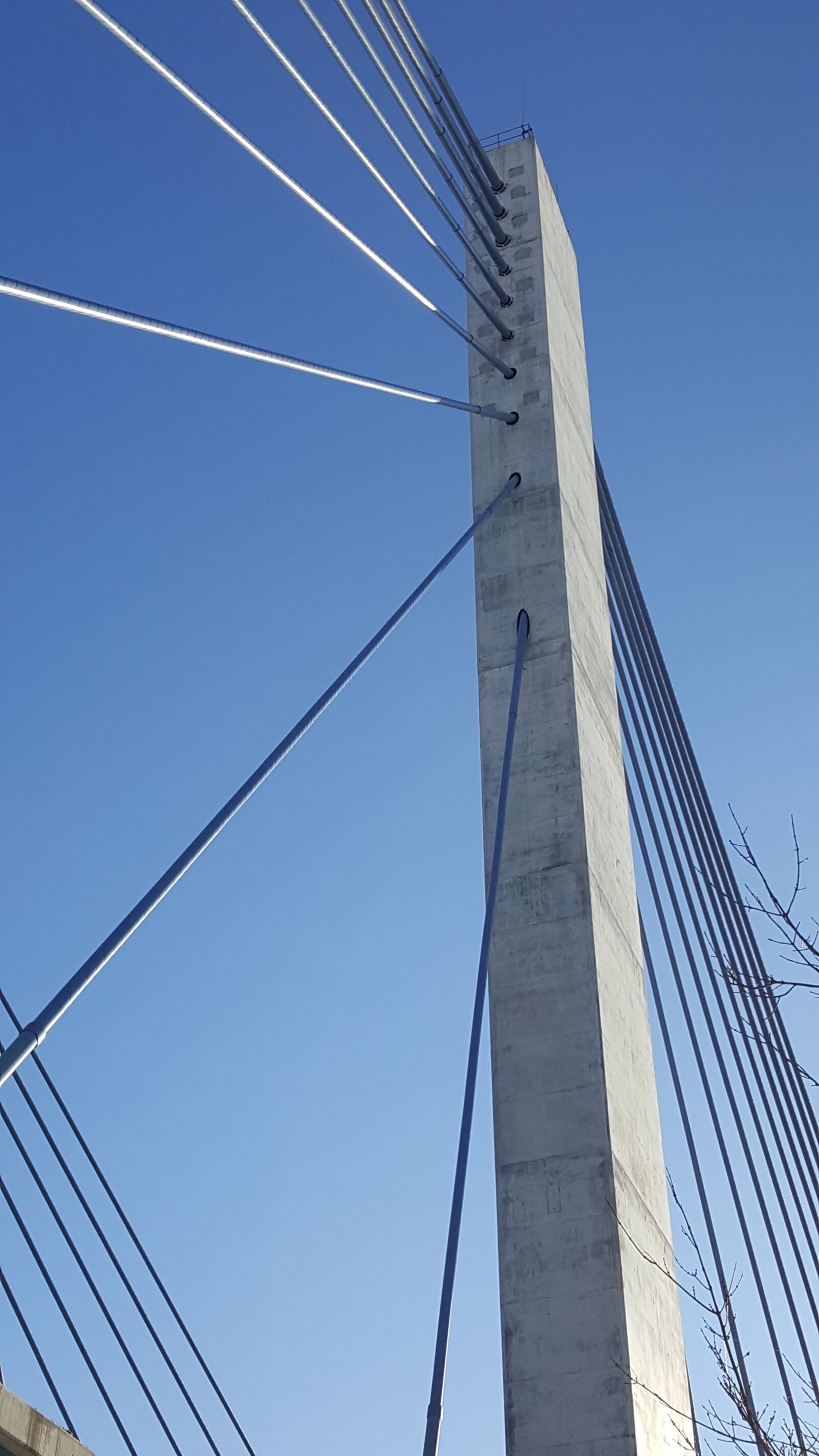 Samsung GALAXY S6 edge sample photo. Bridge, lavalle, cable-stayed photography