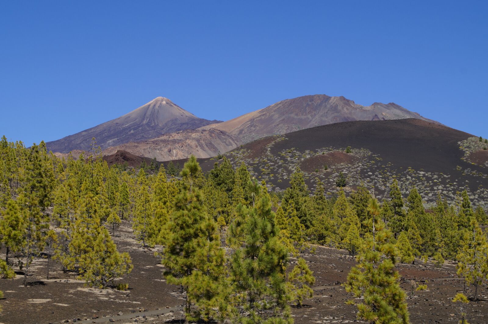 Sony SLT-A58 sample photo. Teide national park, national photography