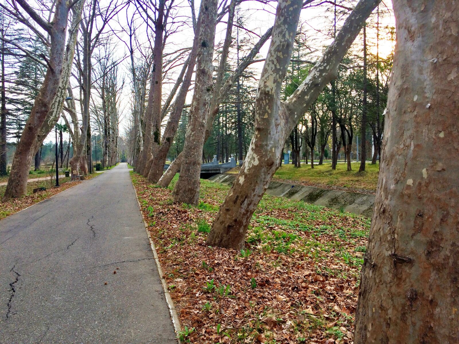 iPhone 5s back camera 4.15mm f/2.2 sample photo. Alley, park, vacation photography